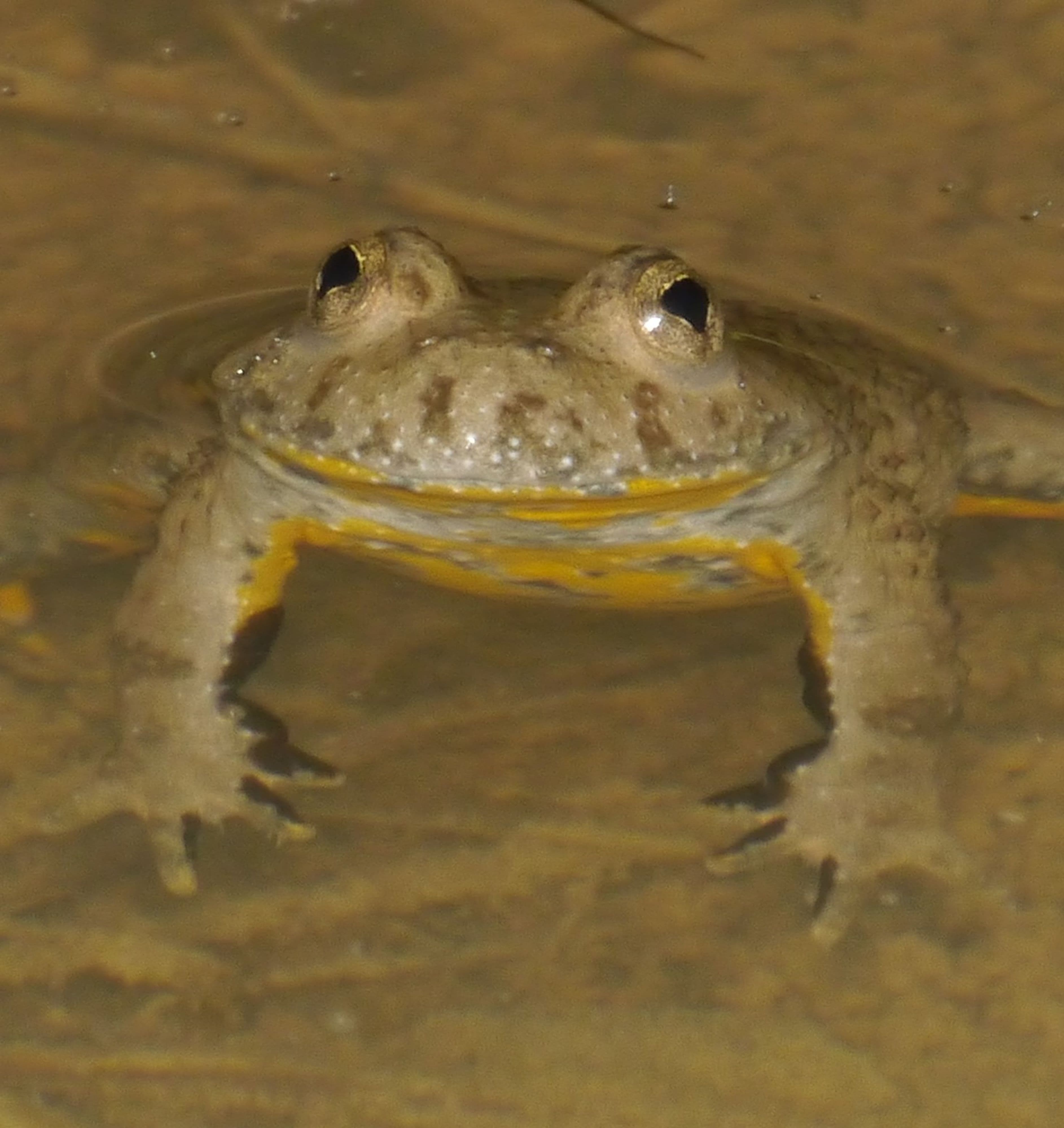 Bamberg entdeckt neue Naturschätze | Symbolbild