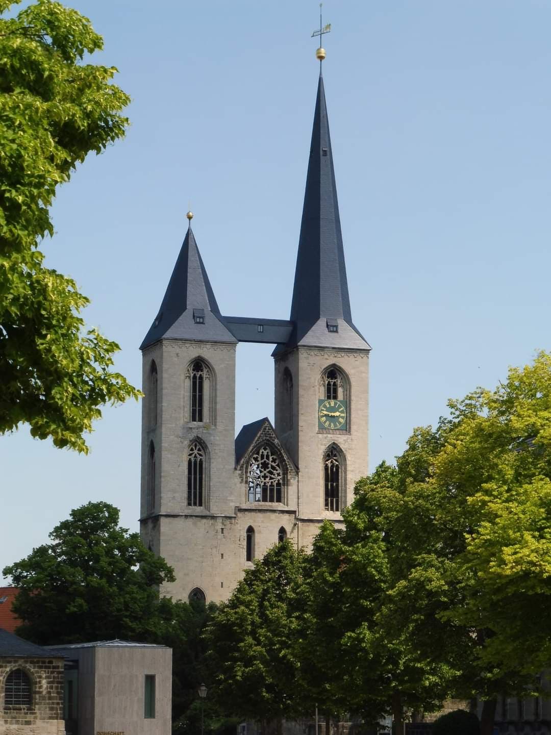 Heidenau putzt - Große Abfallsammelaktion entlang des Elberadweges | Symbolbild