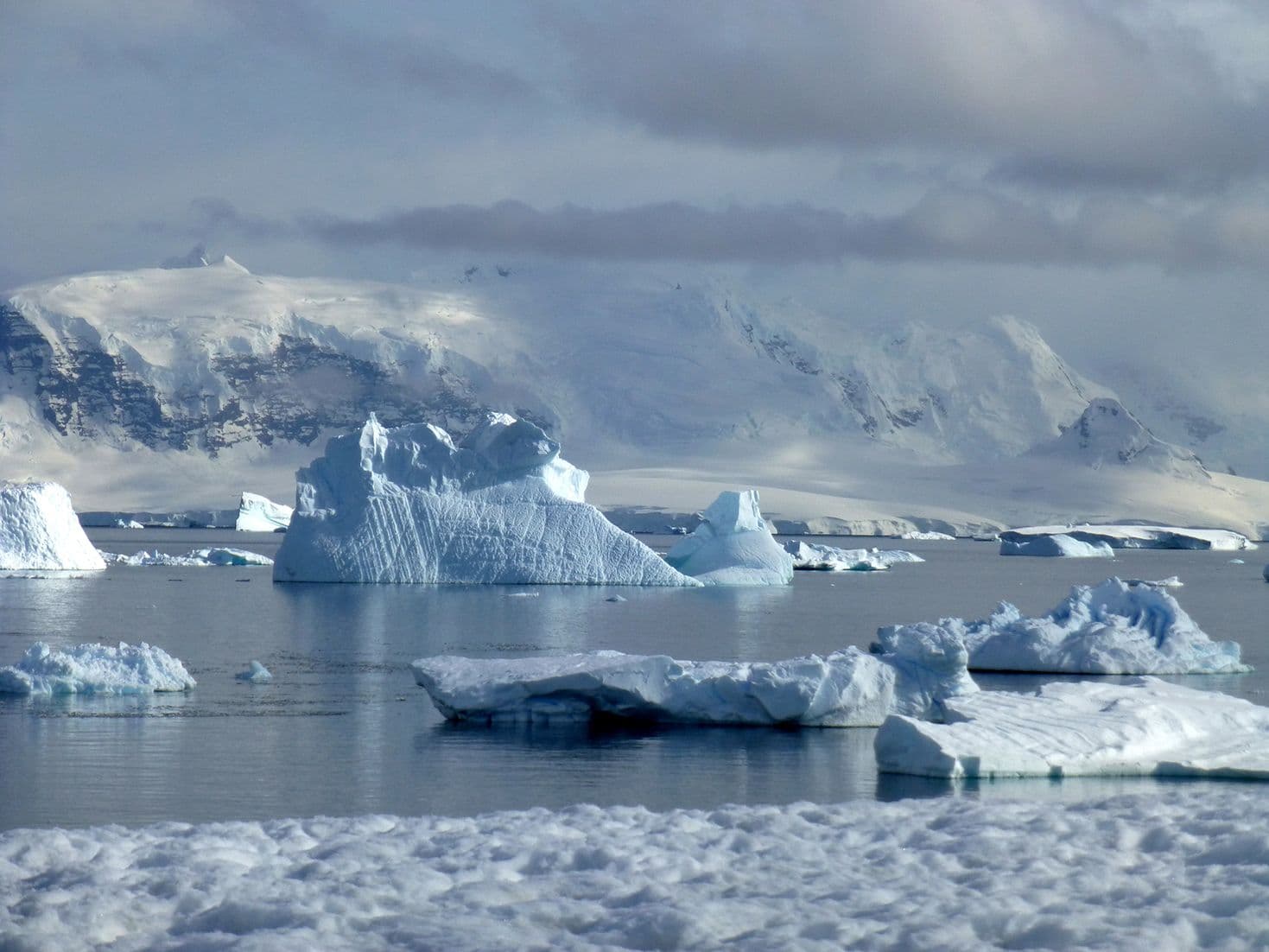 Die Antarktis – Kontinent der Superlative | Symbolbild