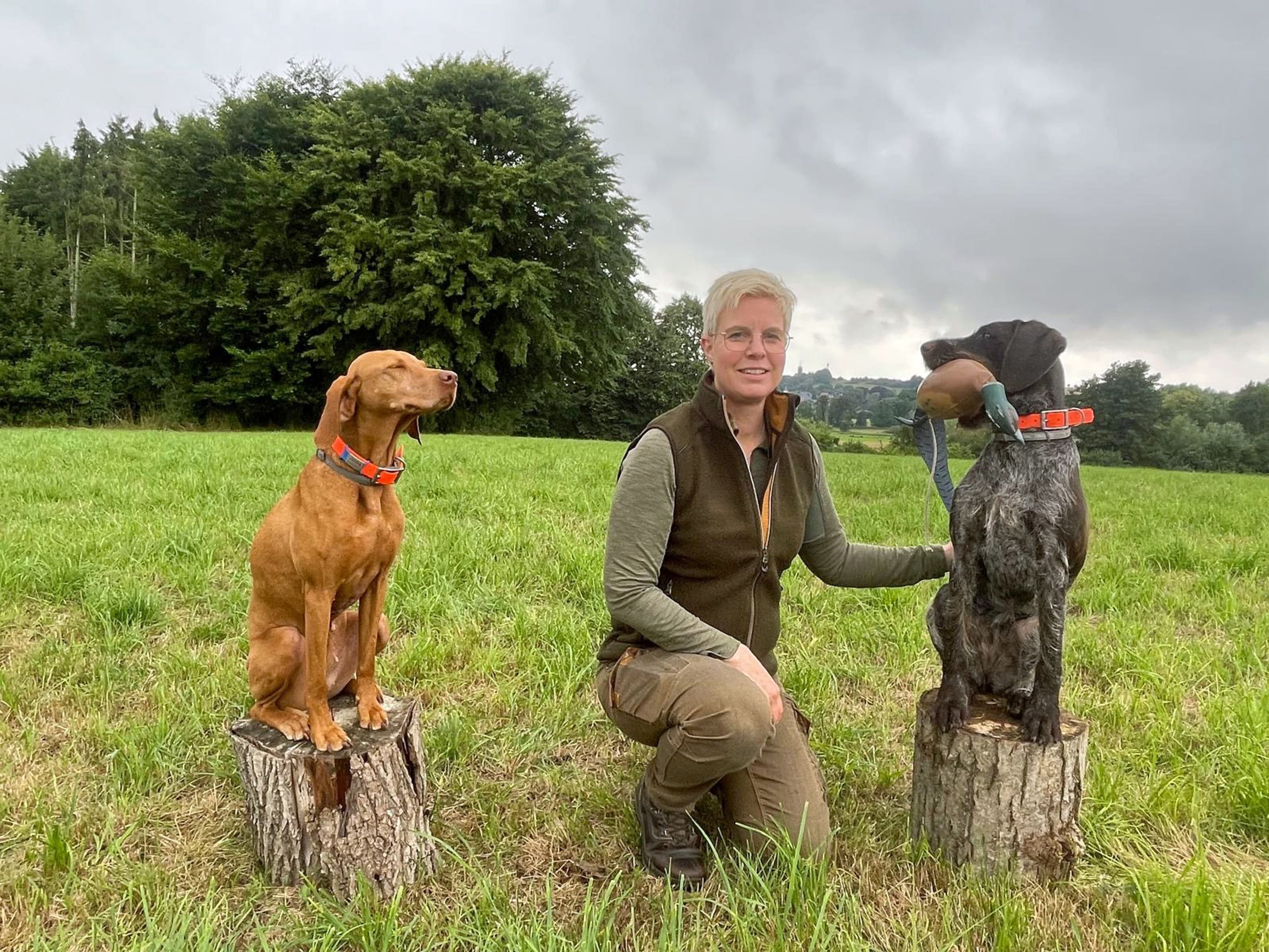Nieheimer Holz- und Technologietage: Jagdhunde live erleben | Symbolbild