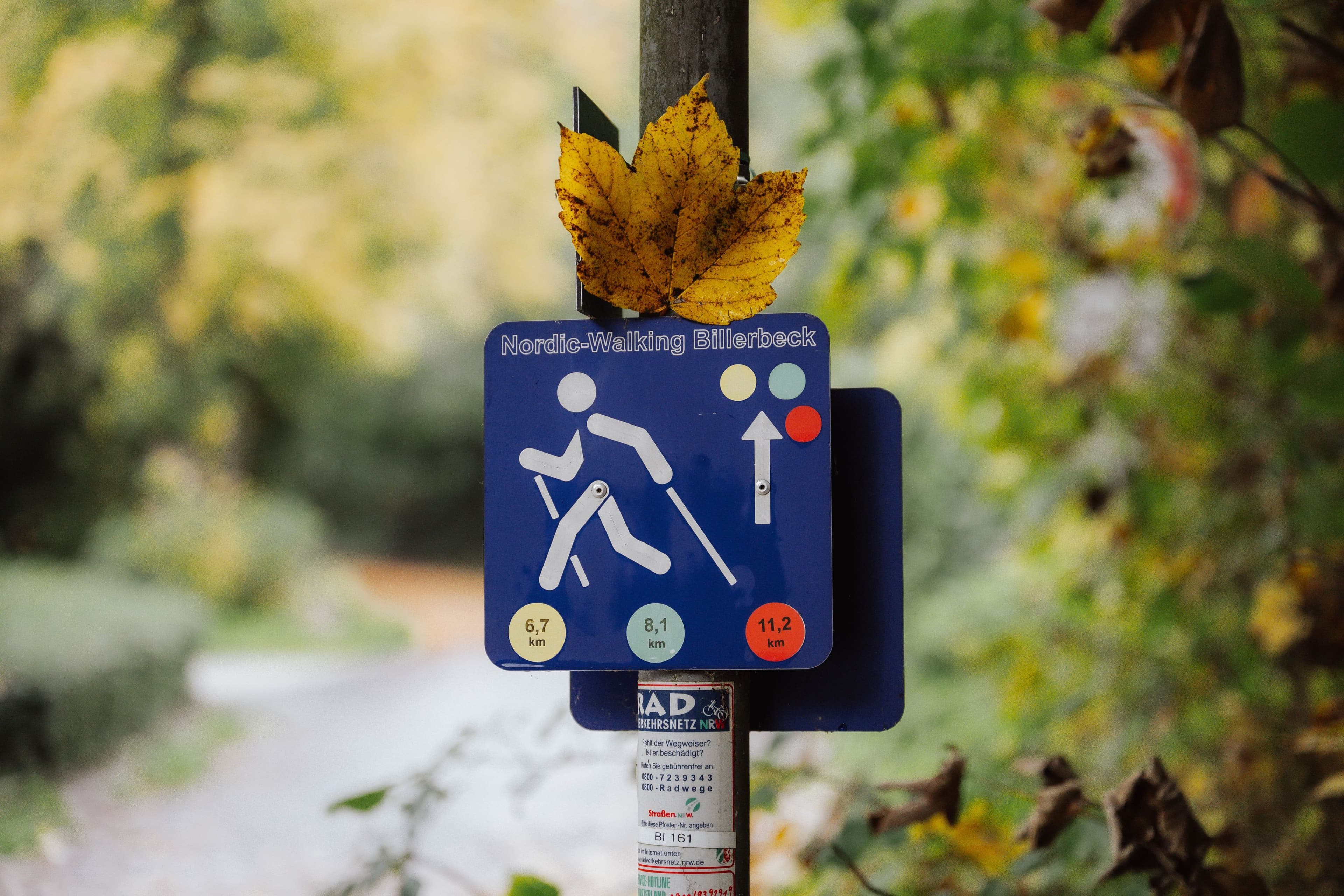 Neue Nordic-Walking-Routen in Billerbeck | Symbolbild
