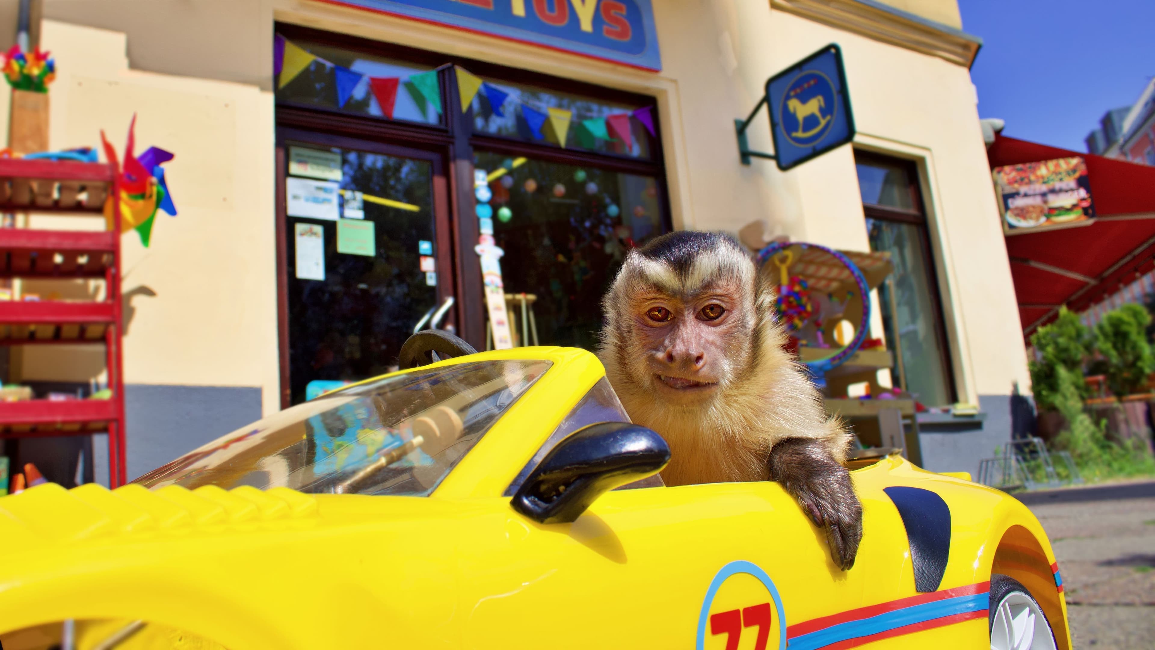 Abenteuer mit Akiko: Der fliegende Affe im Kino | Symbolbild