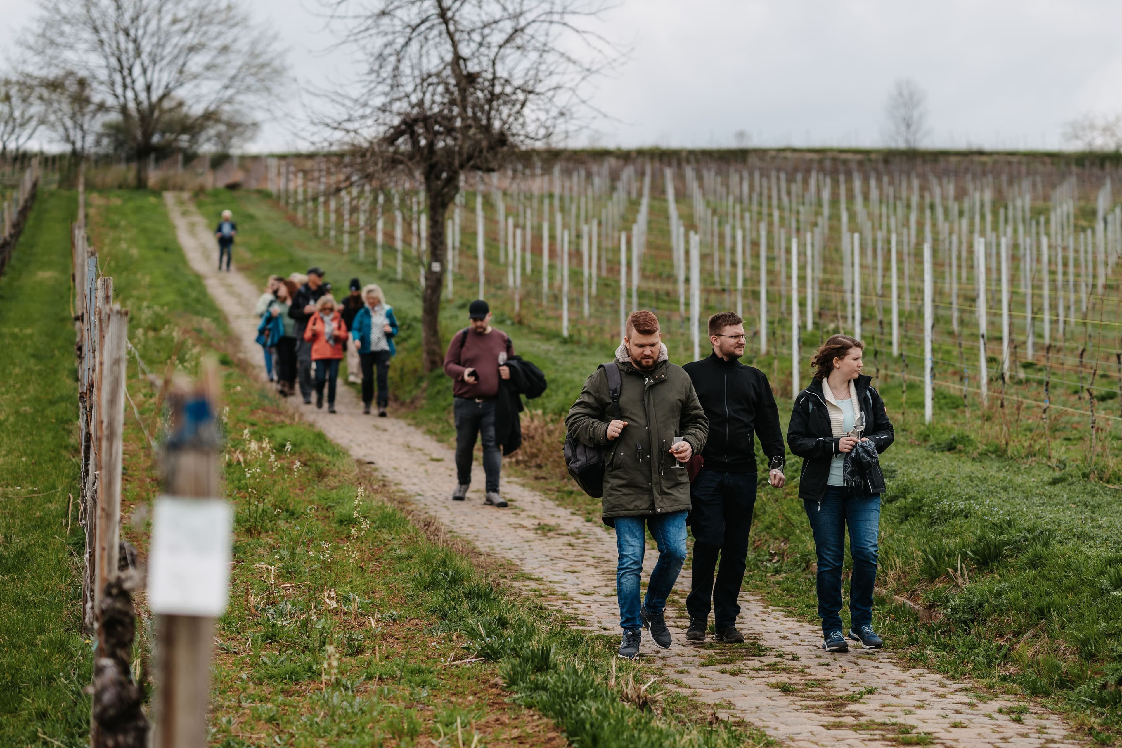 Weinliebhaber aufgepasst: Bad Dürkheim startet neue Genussreise! | Symbolbild