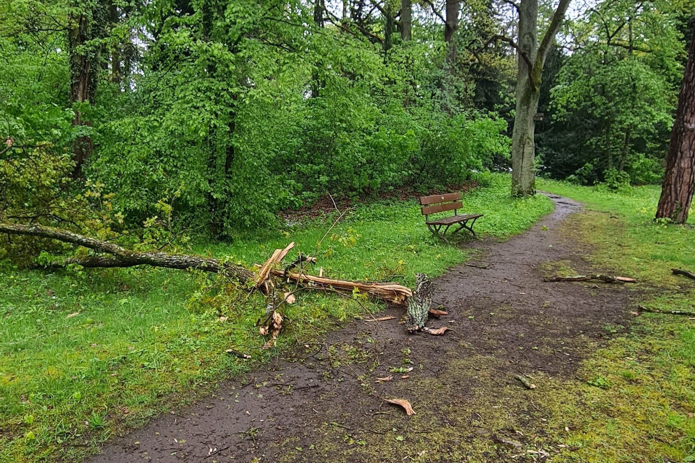 Temporäre Schließung der Coburger Friedhofsverwaltung | Symbolbild