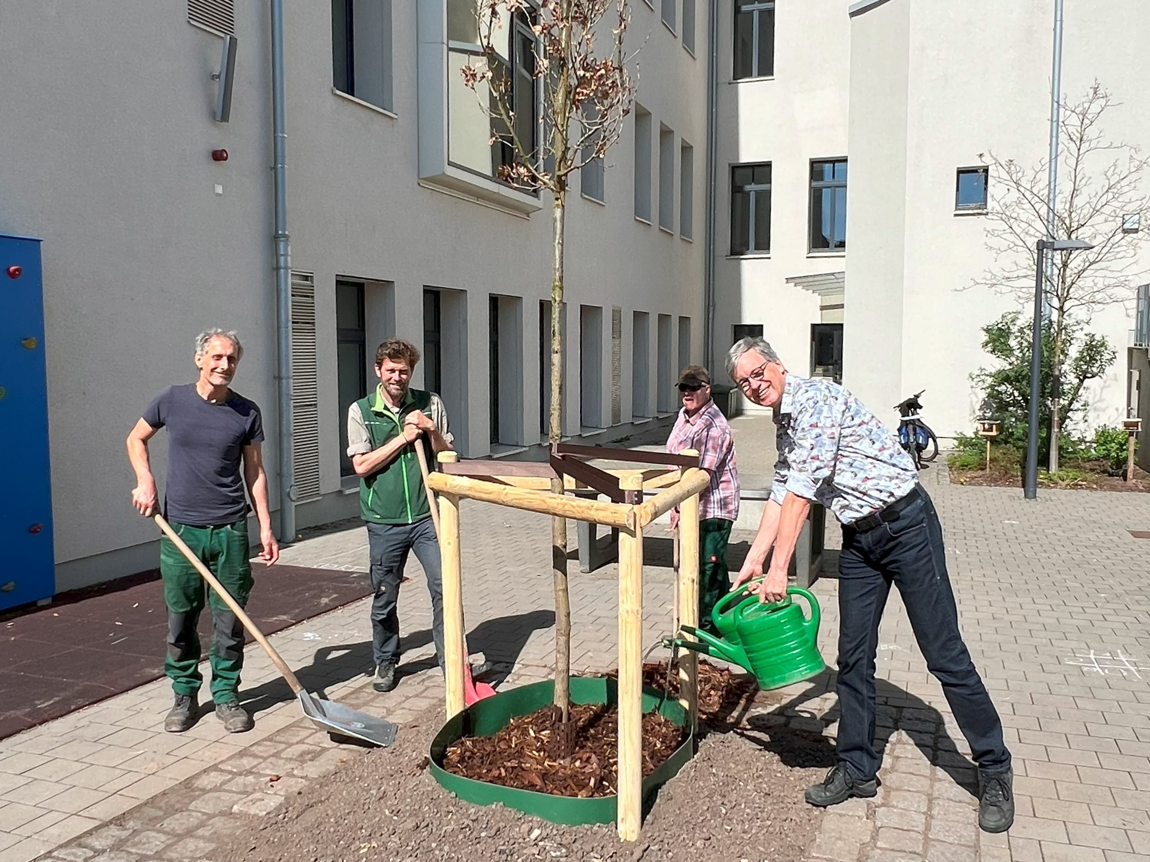 Bamberg macht Stadt grüner | Symbolbild