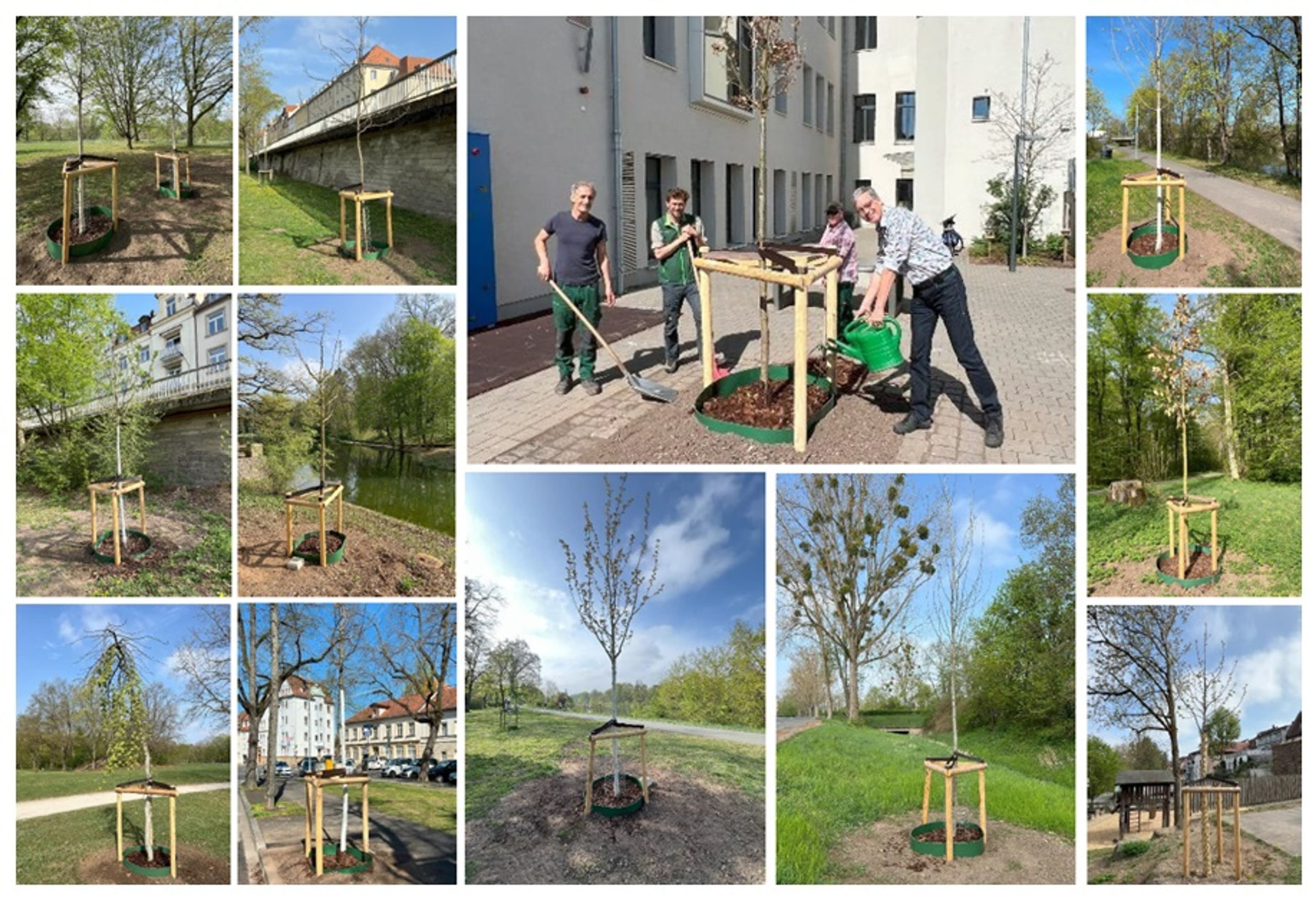 Bamberg macht Stadt grüner | Symbolbild