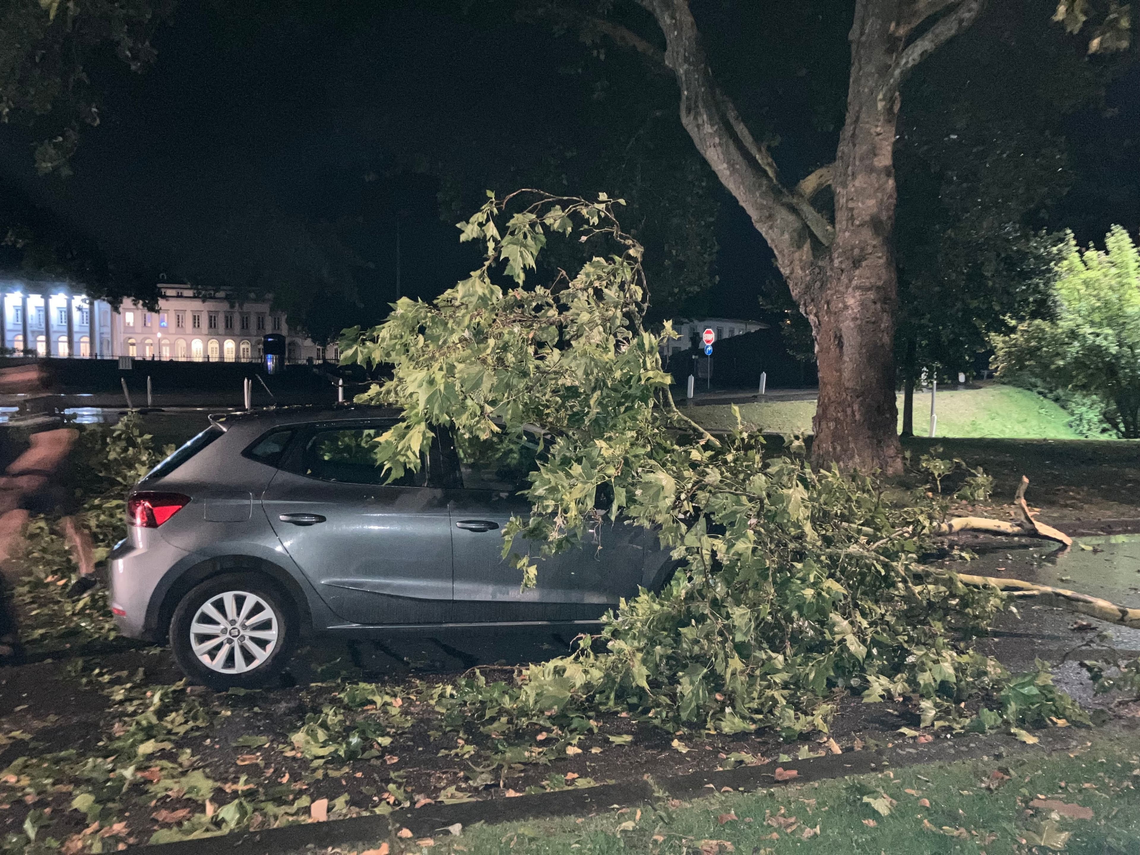 Sturmschäden in Koblenz: Ein Blick auf das Unwetter | Symbolbild