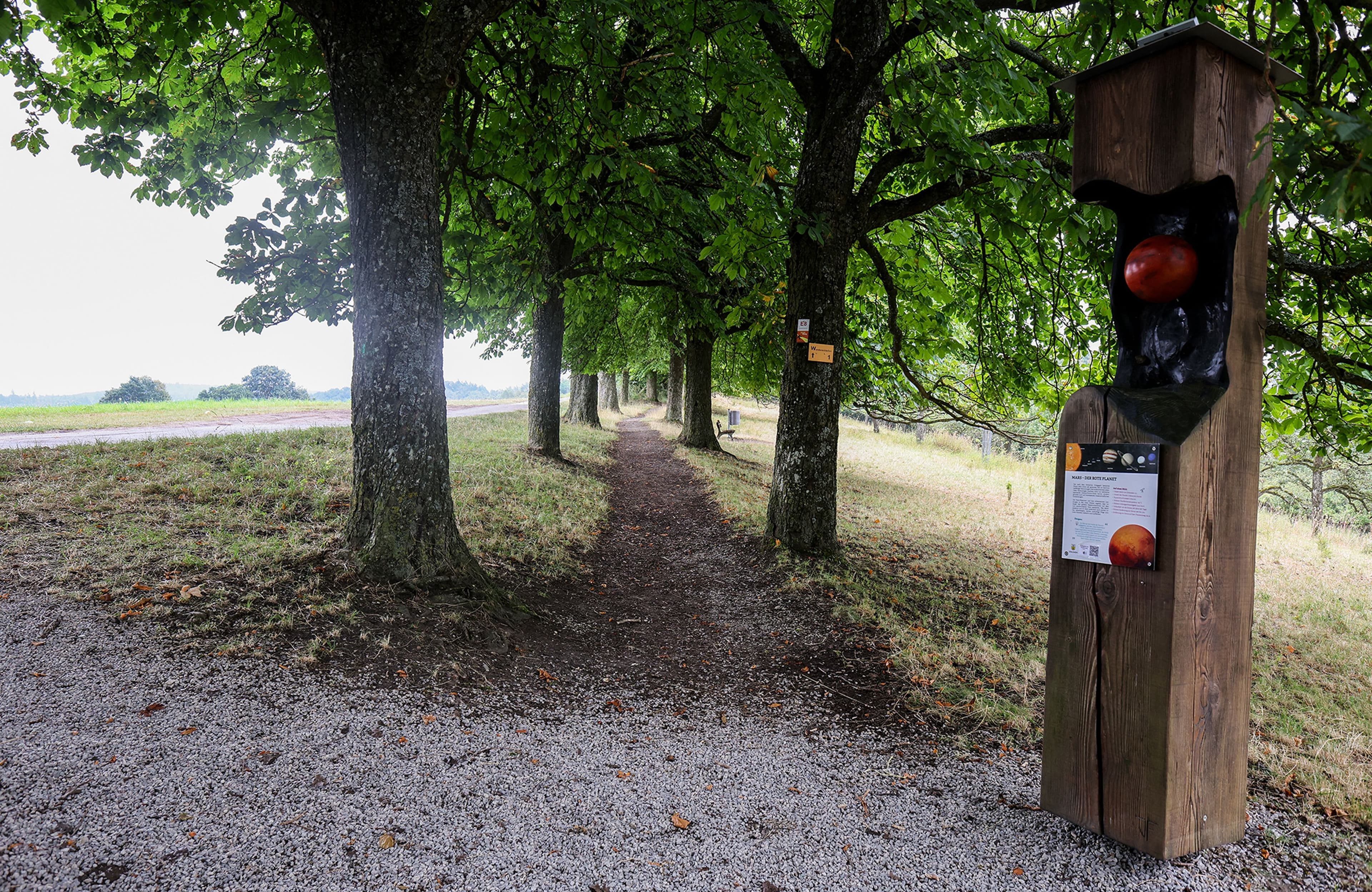 Entdecken Sie die Geheimnisse der Horaffenwege: Ein Wanderparadies im Crailsheimer Umland | Symbolbild