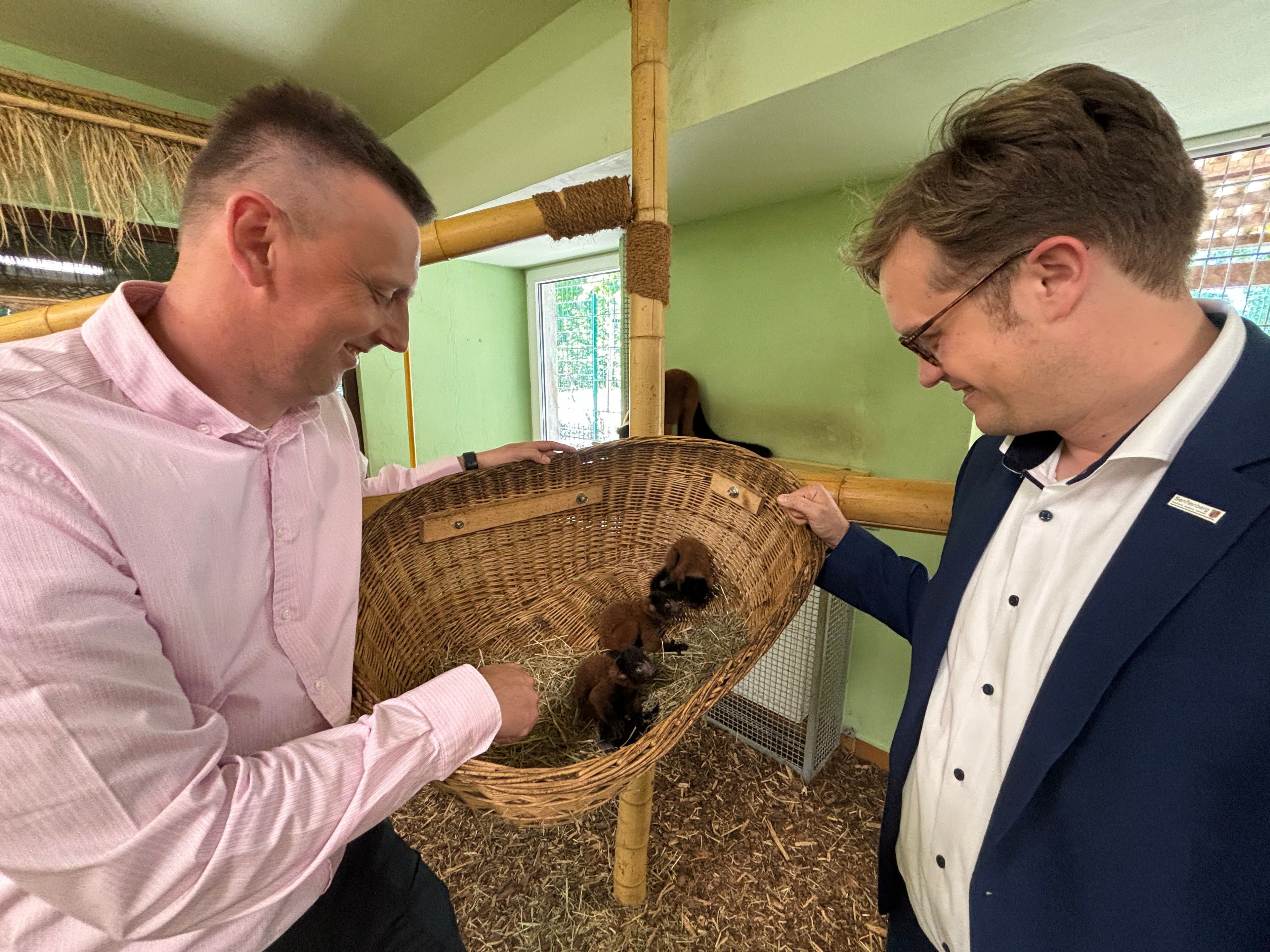 Entscheidungen in der Stadtratssitzung | Symbolbild