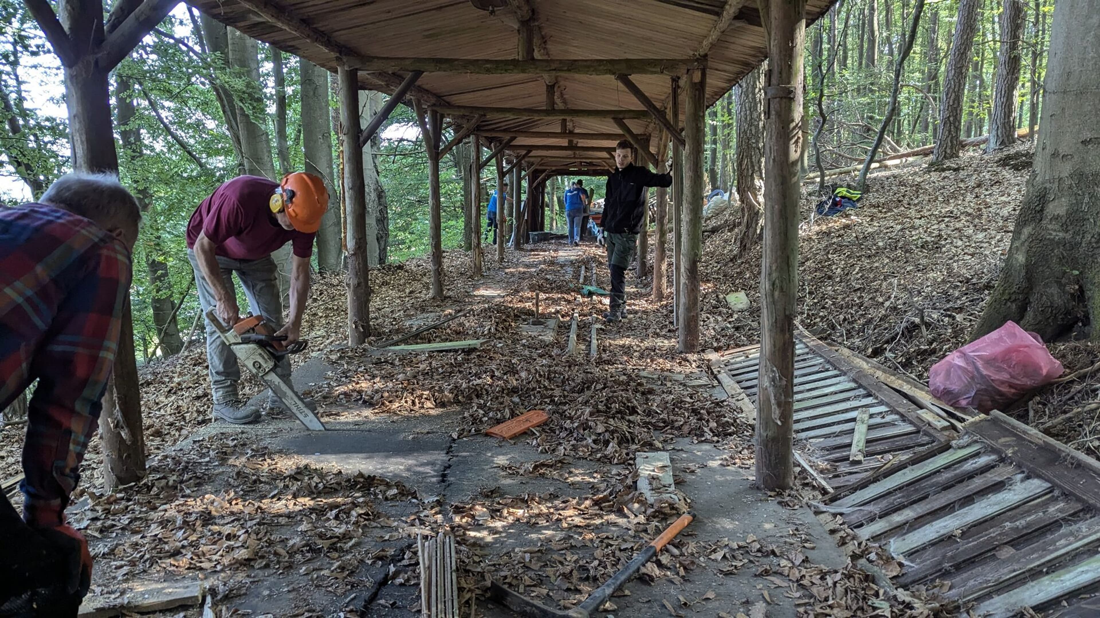 Engagement für die Natur: Freiwilligenaktionen im Landkreis Marburg-Biedenkopf | Symbolbild
