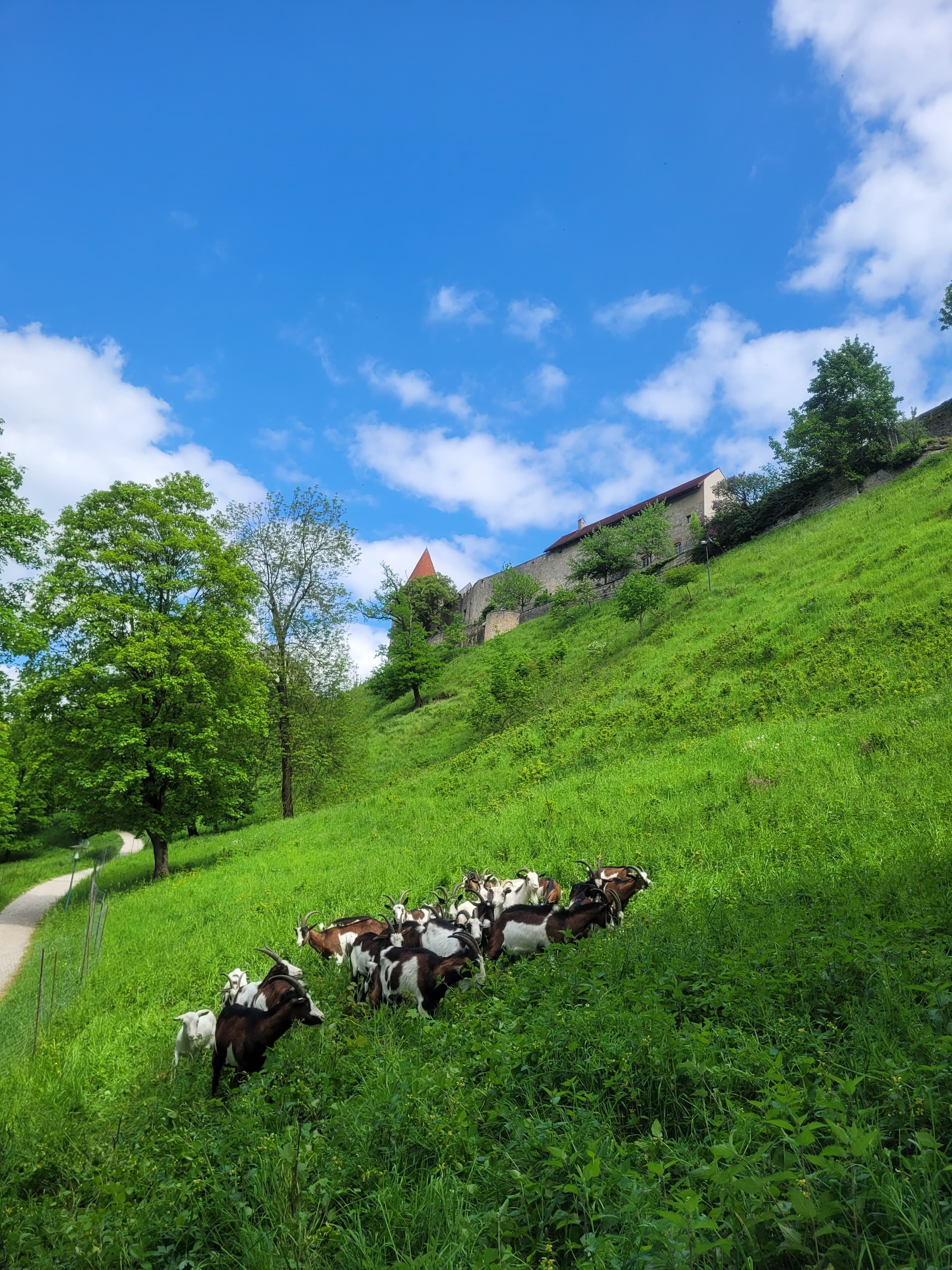 Halbseitige Sperrung der Iserlohner Landstraße | Symbolbild