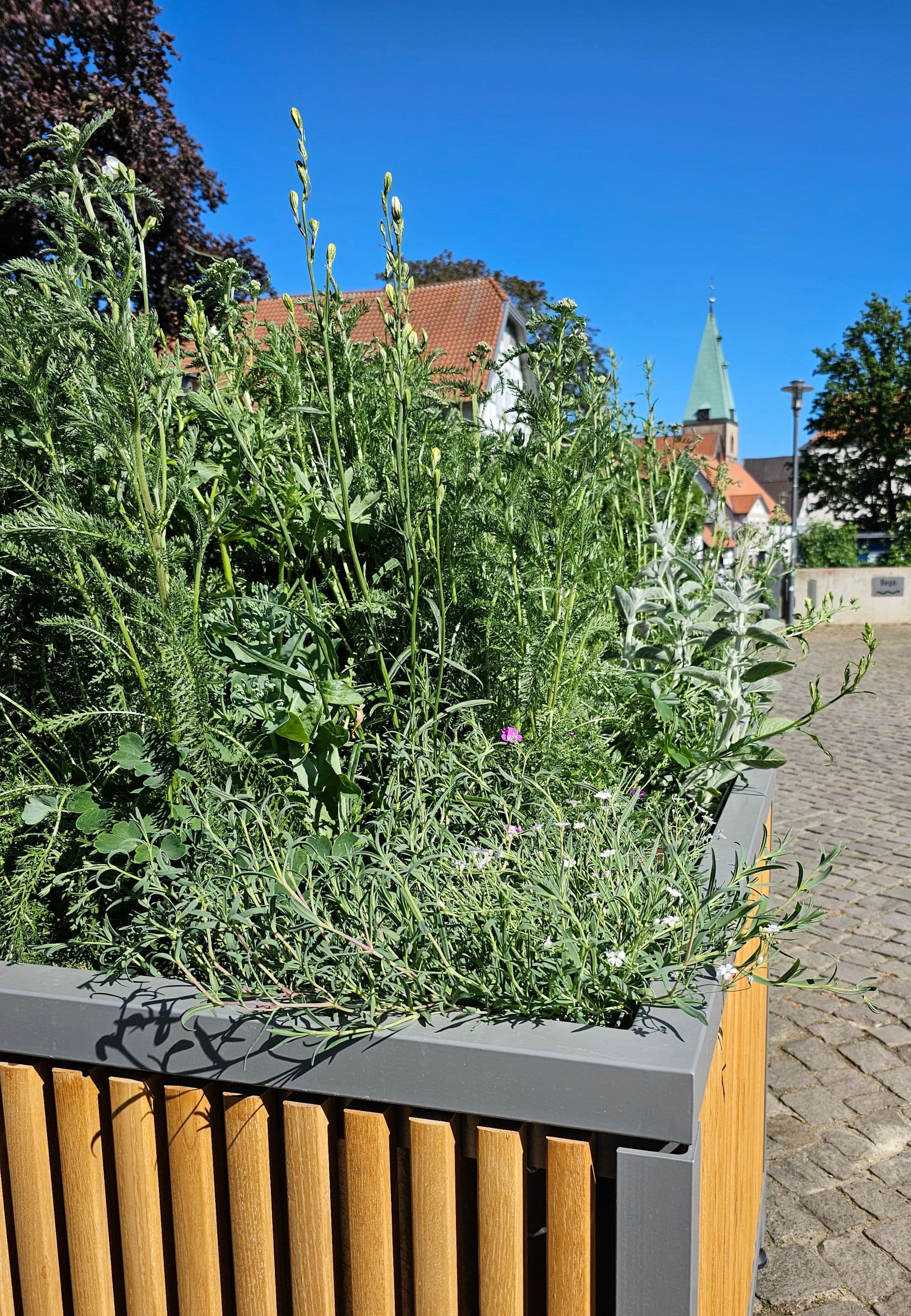 Erfolgreicher Abschluss des 45. Theatriums in Wiesbaden | Symbolbild