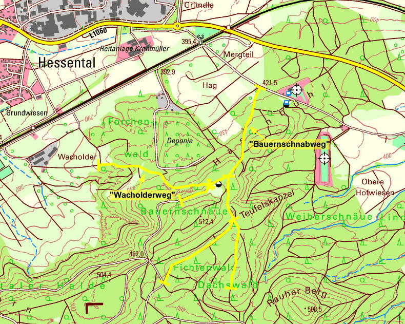 Sicherheitsaufruf an Waldbesitzer: Lichtraumprofil an Waldwegen frei halten | Symbolbild