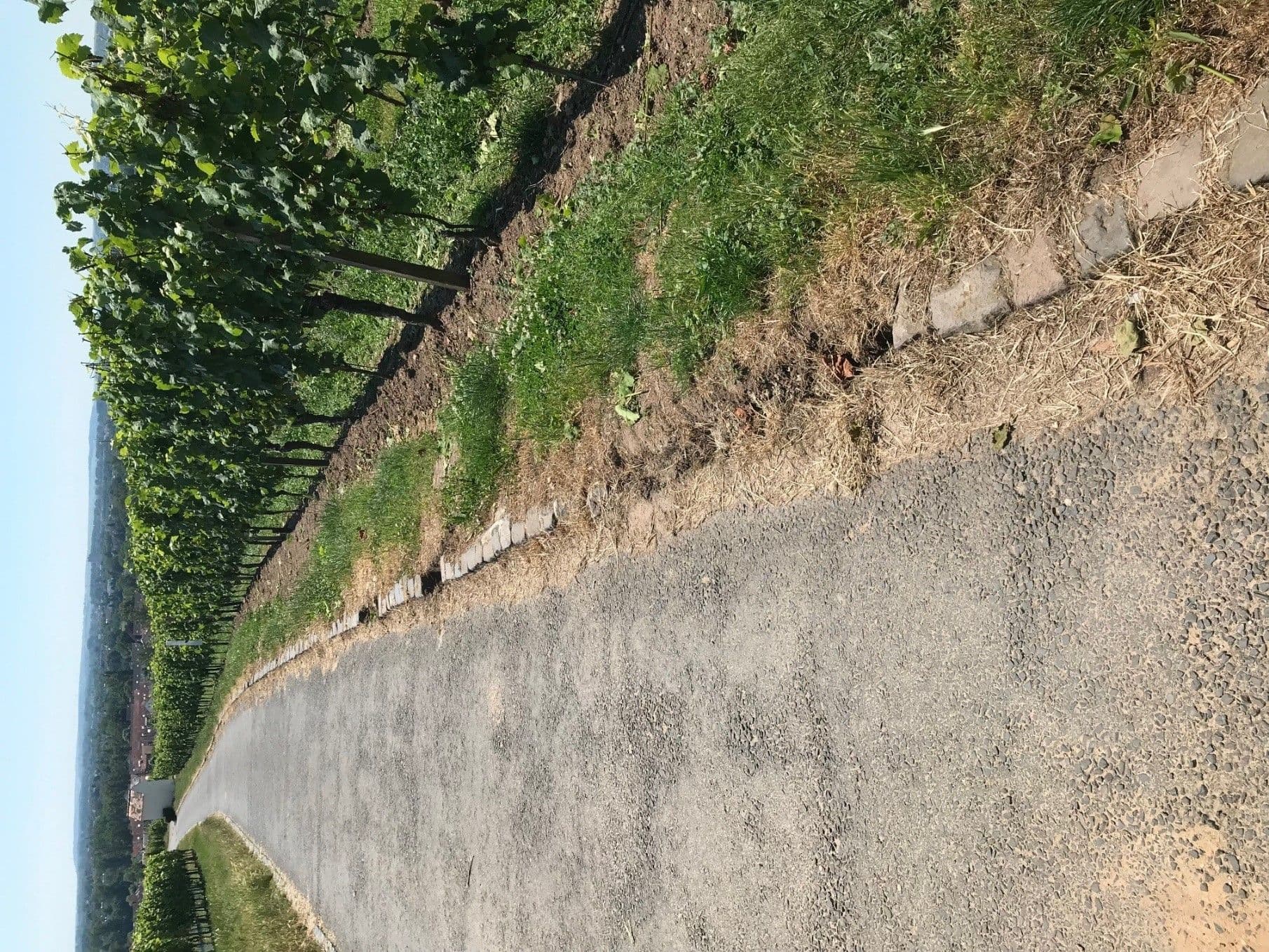 Kulturausflug für Seniorinnen und Senioren | Symbolbild