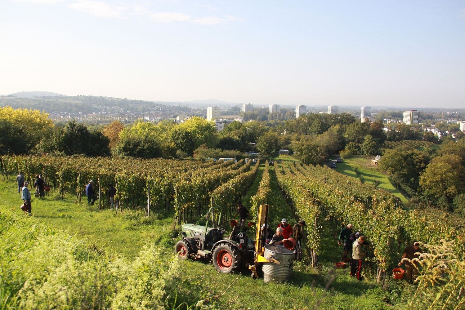 Schiedsstelle der Einheitsgemeinde Tangerhütte macht Sommerpause | Symbolbild
