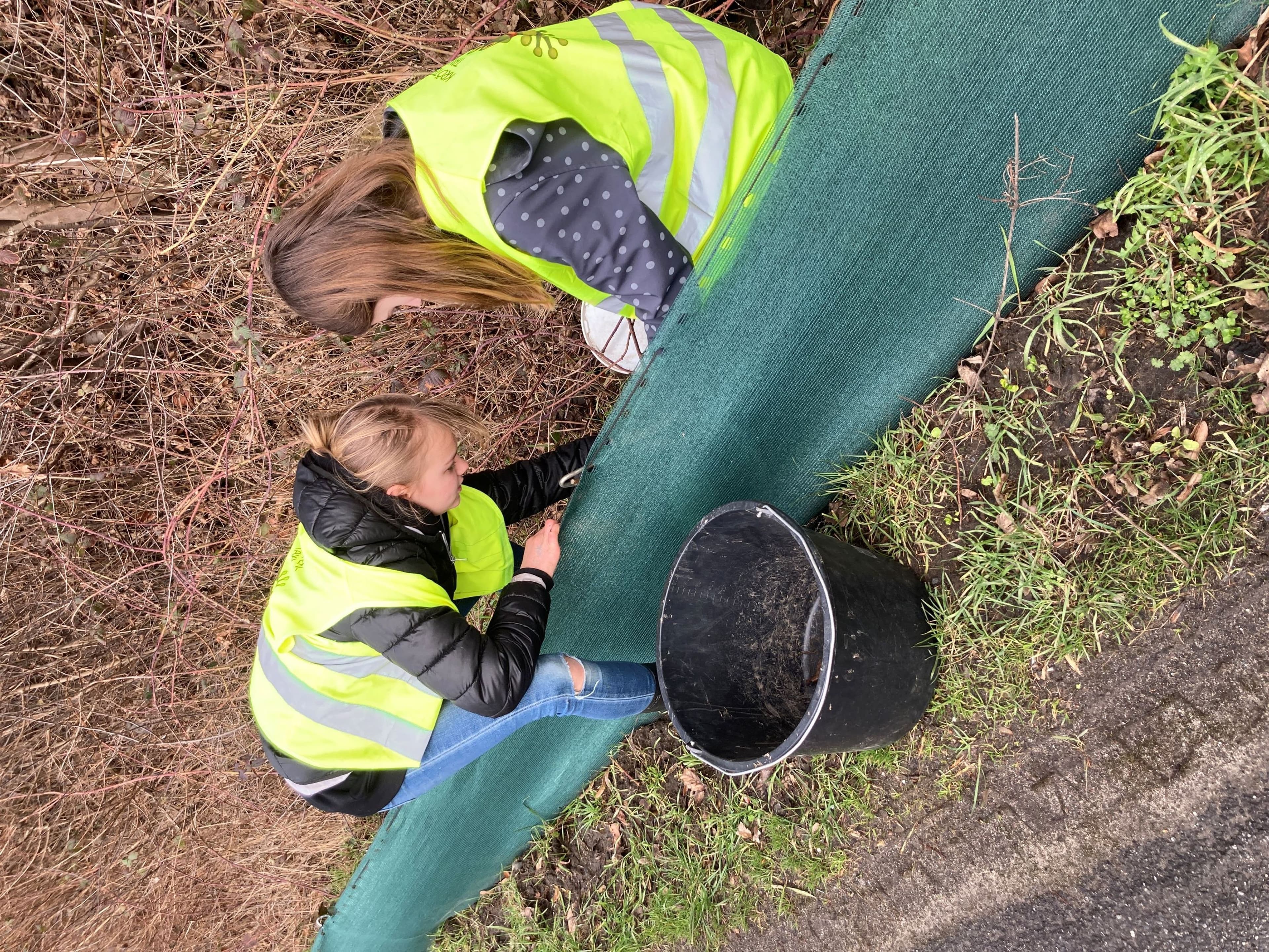 Amphibien wie Kröten und Molche werden bei ihrer Frühlingswanderung durch Straßensperren und Zäune geschützt. Amphibien wie Kröten und Molche werden bei ihrer Frühlingswanderung durch Straßensperren und Zäune geschützt.