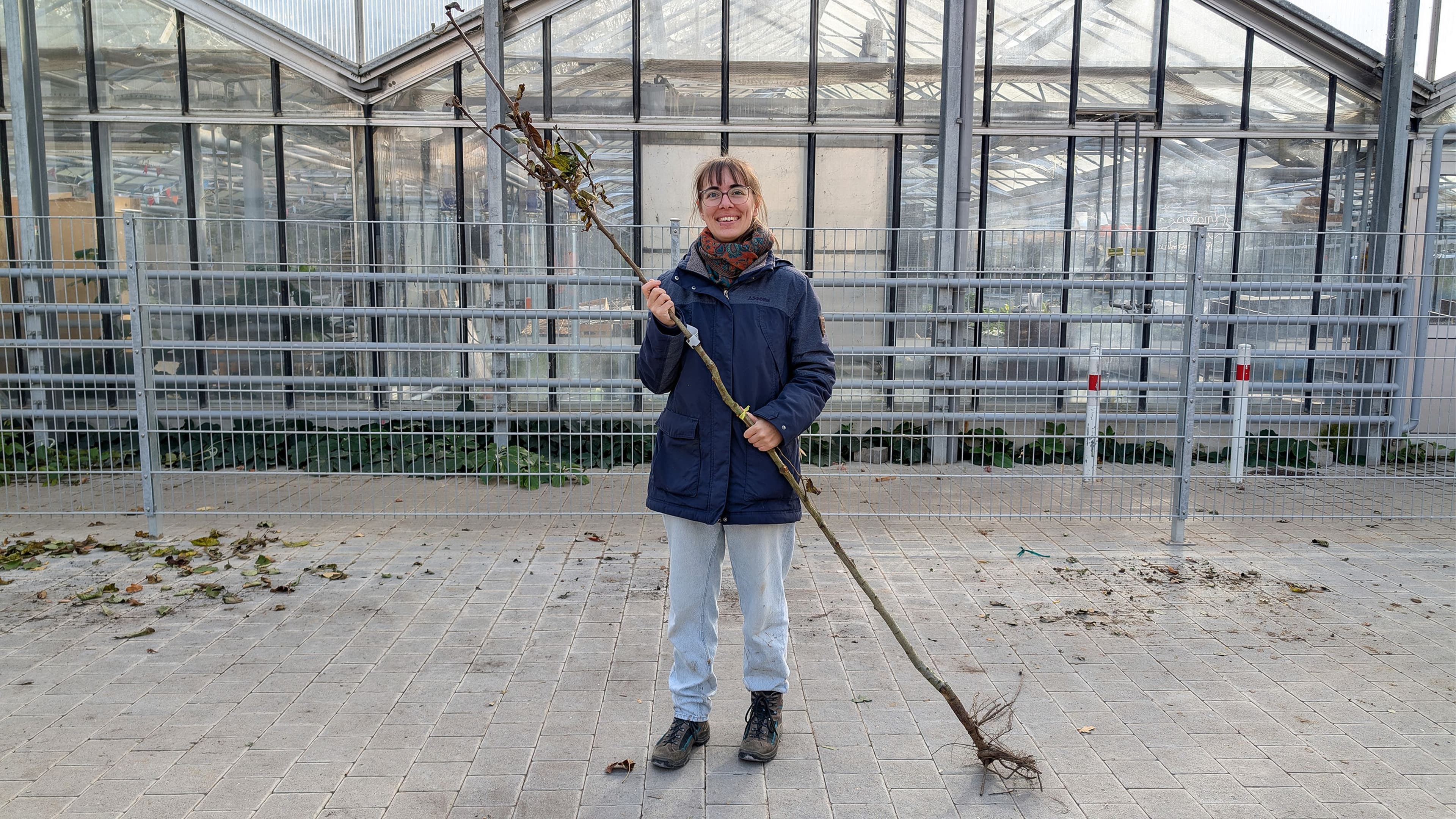 Pforzheim pflanzt 300 Klimabäume | Symbolbild