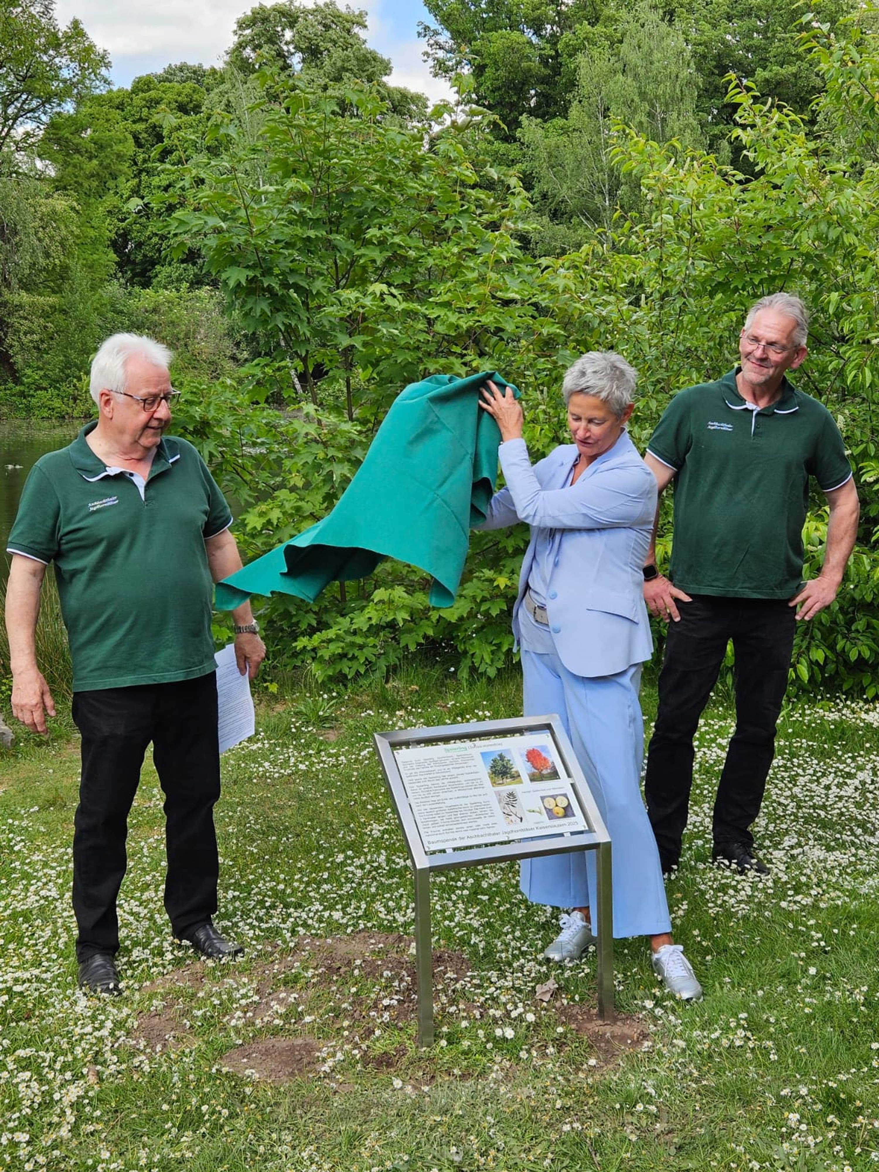 Seltene Baumspende im Volkspark Kaiserslautern | Symbolbild