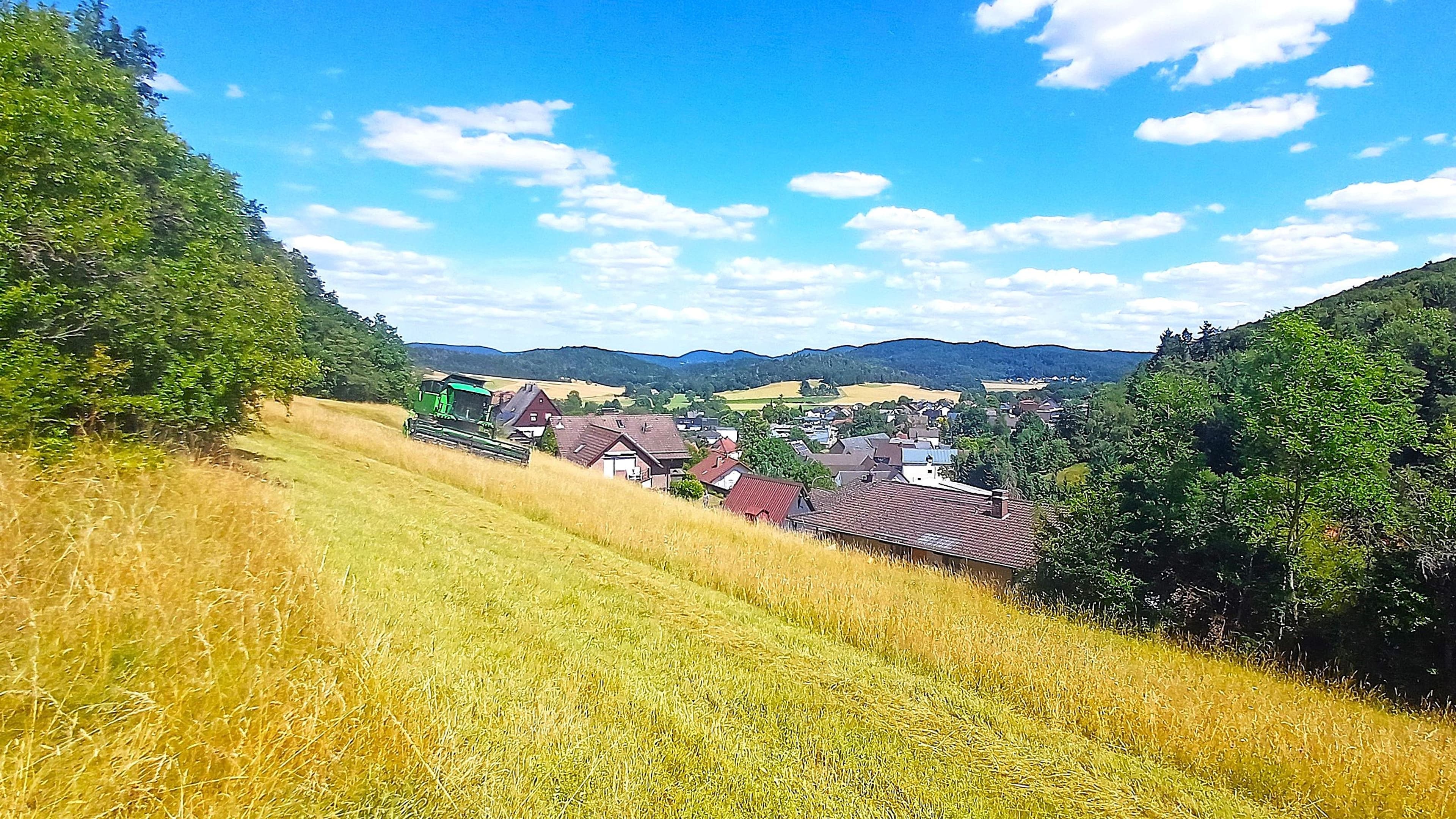Artenreiche Wiesen im Landkreis Marburg-Biedenkopf | Symbolbild