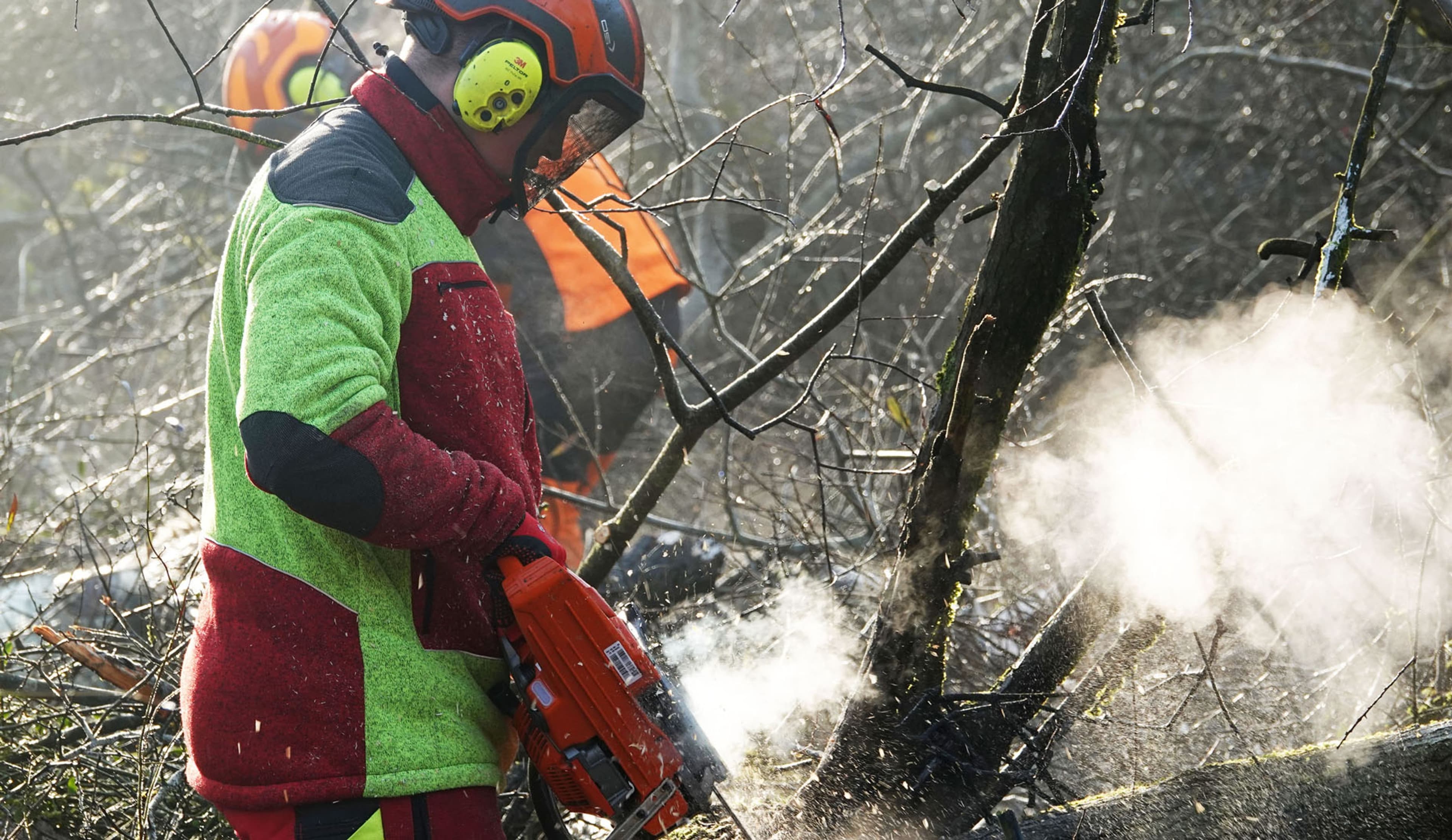 Auszubildende gestalten Leutesheimer Wald aktiv mit | Symbolbild