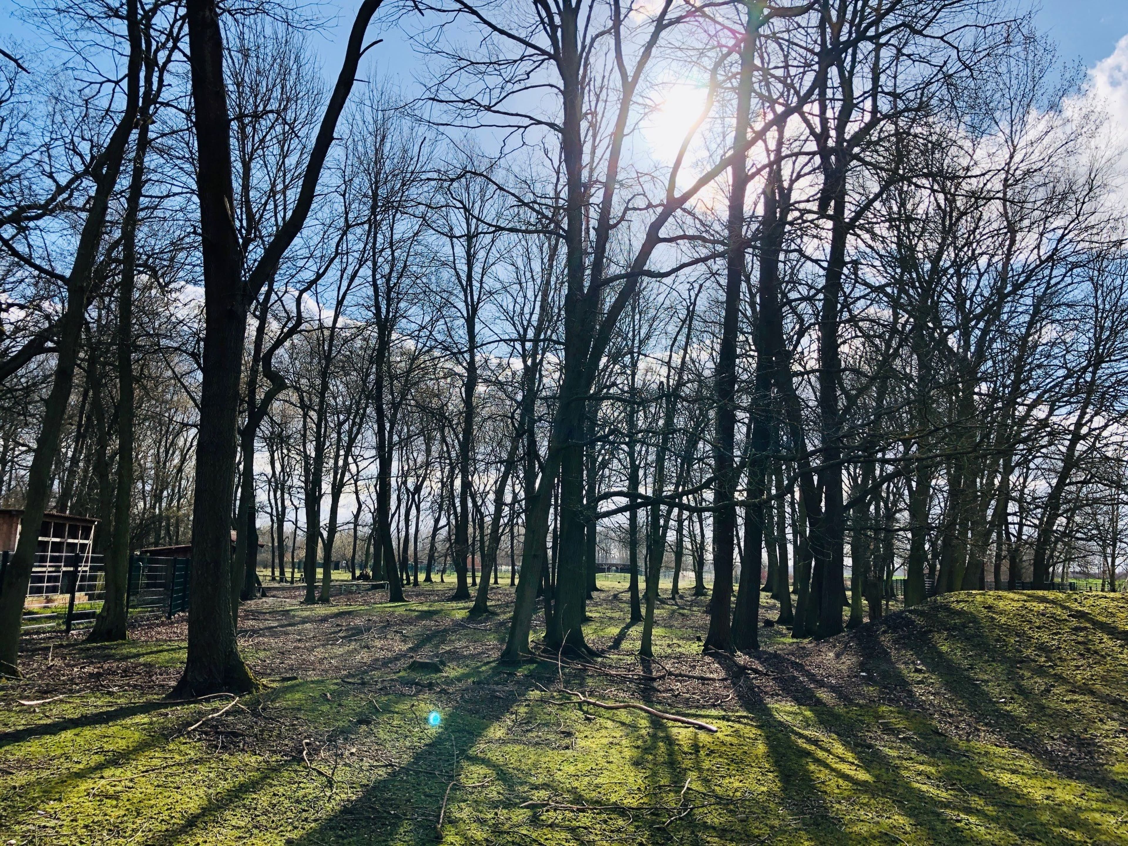 Wildpark Weißewarte erneut zum Verkauf gestellt | Symbolbild