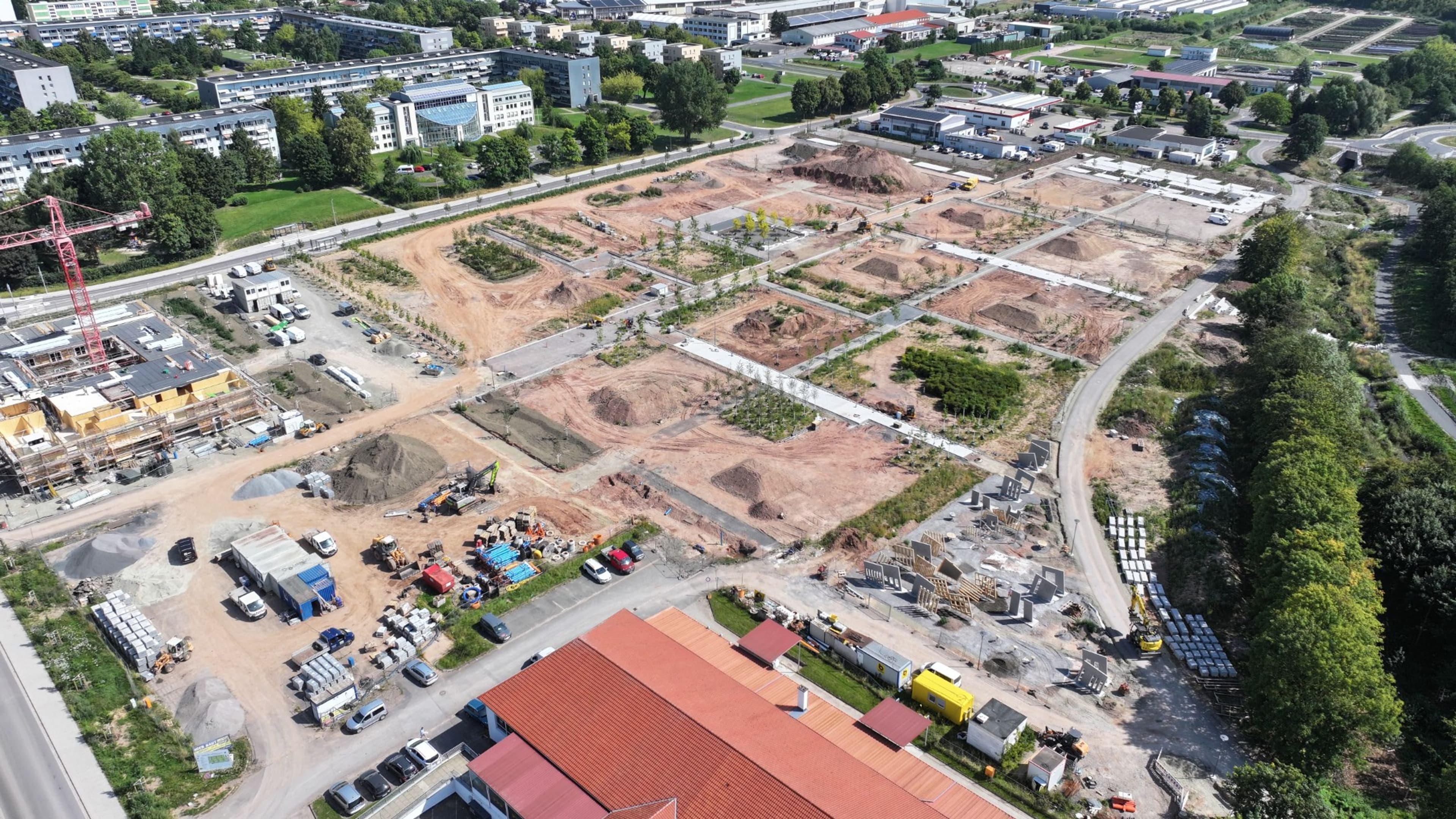 Landesgartenschau 2026: Grün trifft Stadtentwicklung | Symbolbild