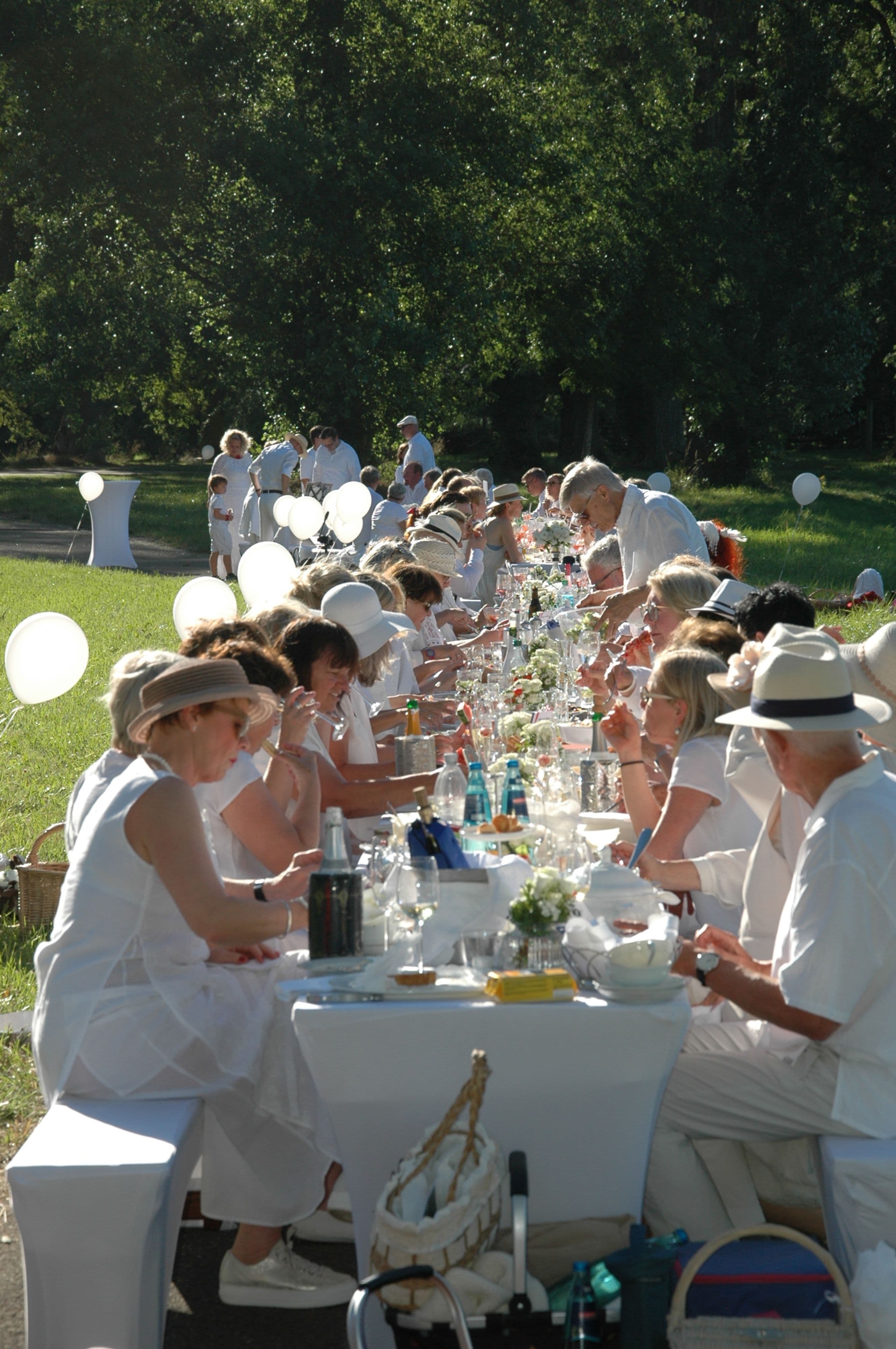 Dîner en blanc 2025 in Donaueschingen | Symbolbild