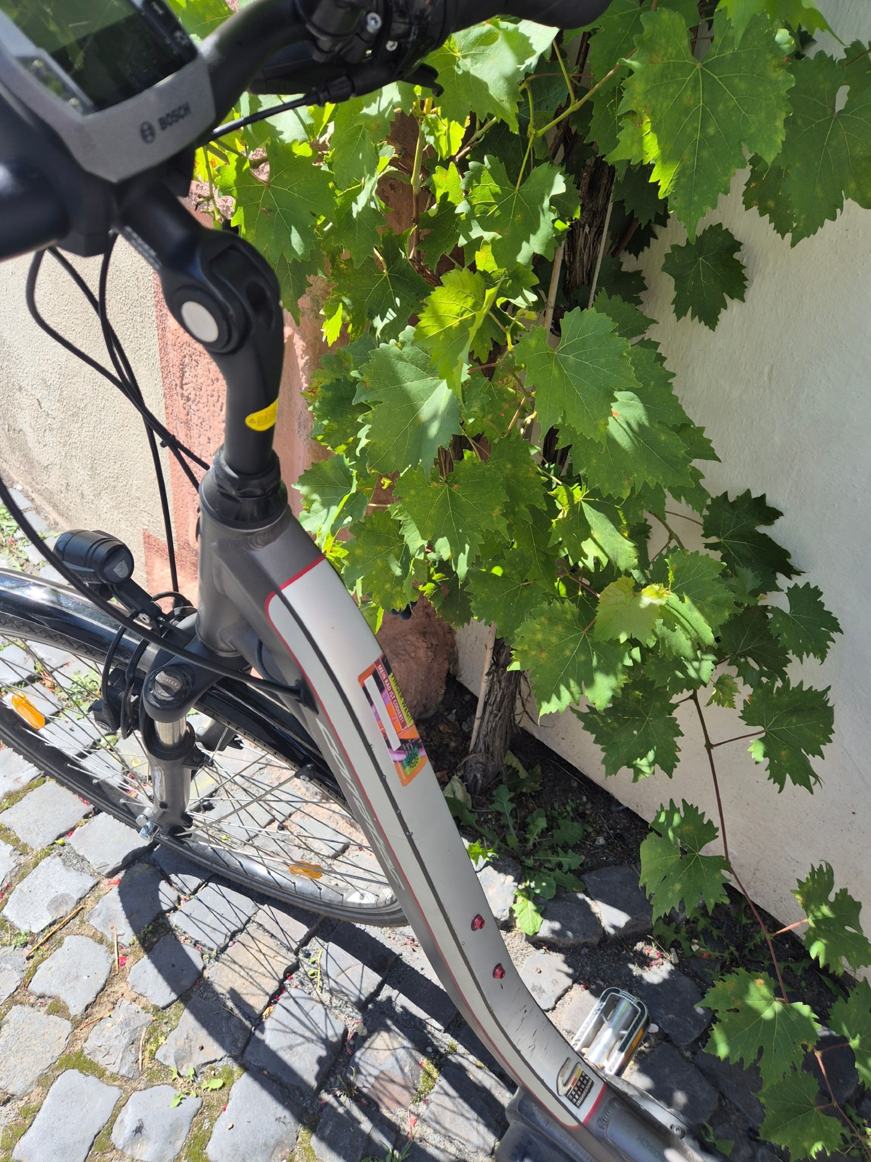 Fahrradcodierung in Groß-Umstadt: Schutz vor Diebstahl | Symbolbild