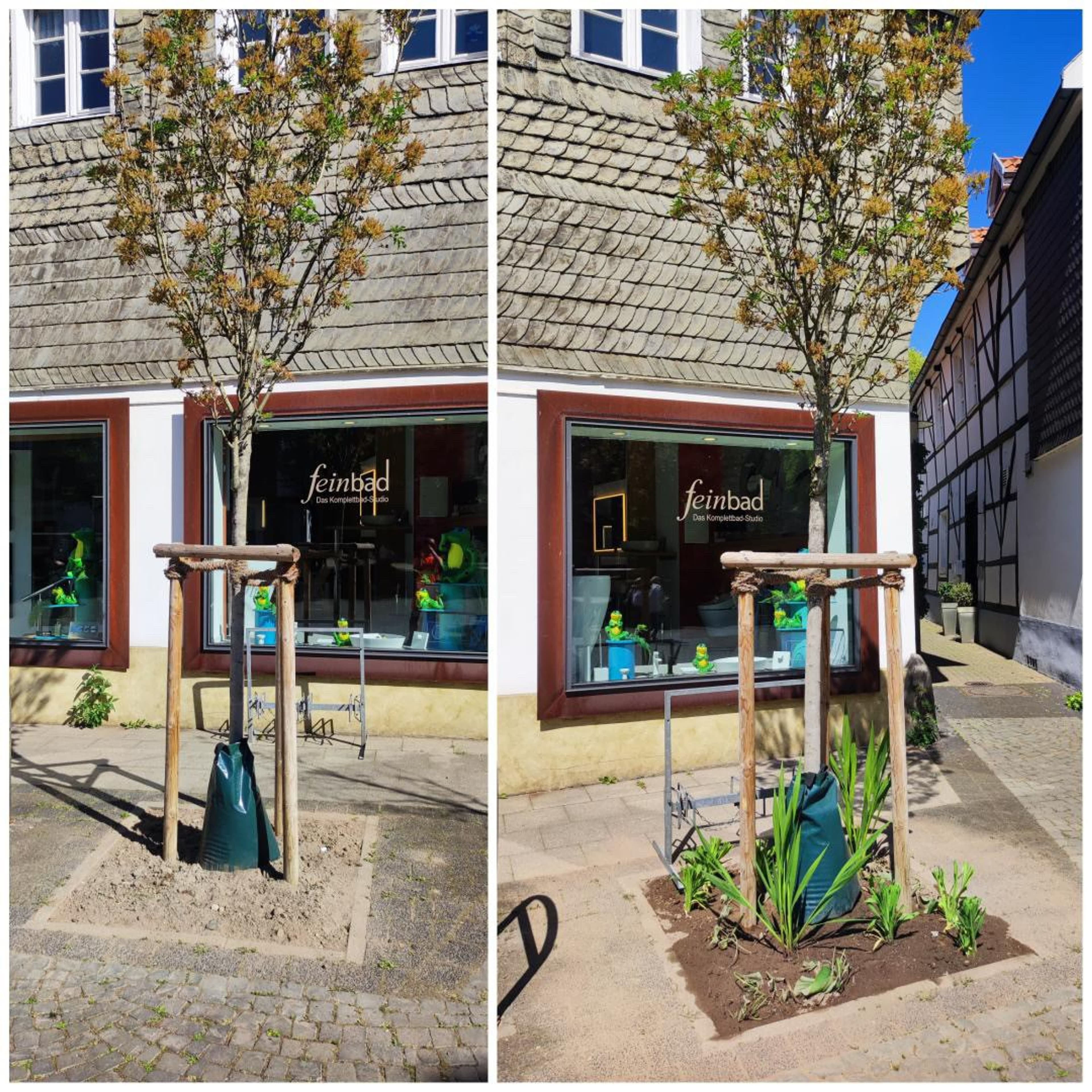 Grüne Oasen für Hattingen | Symbolbild