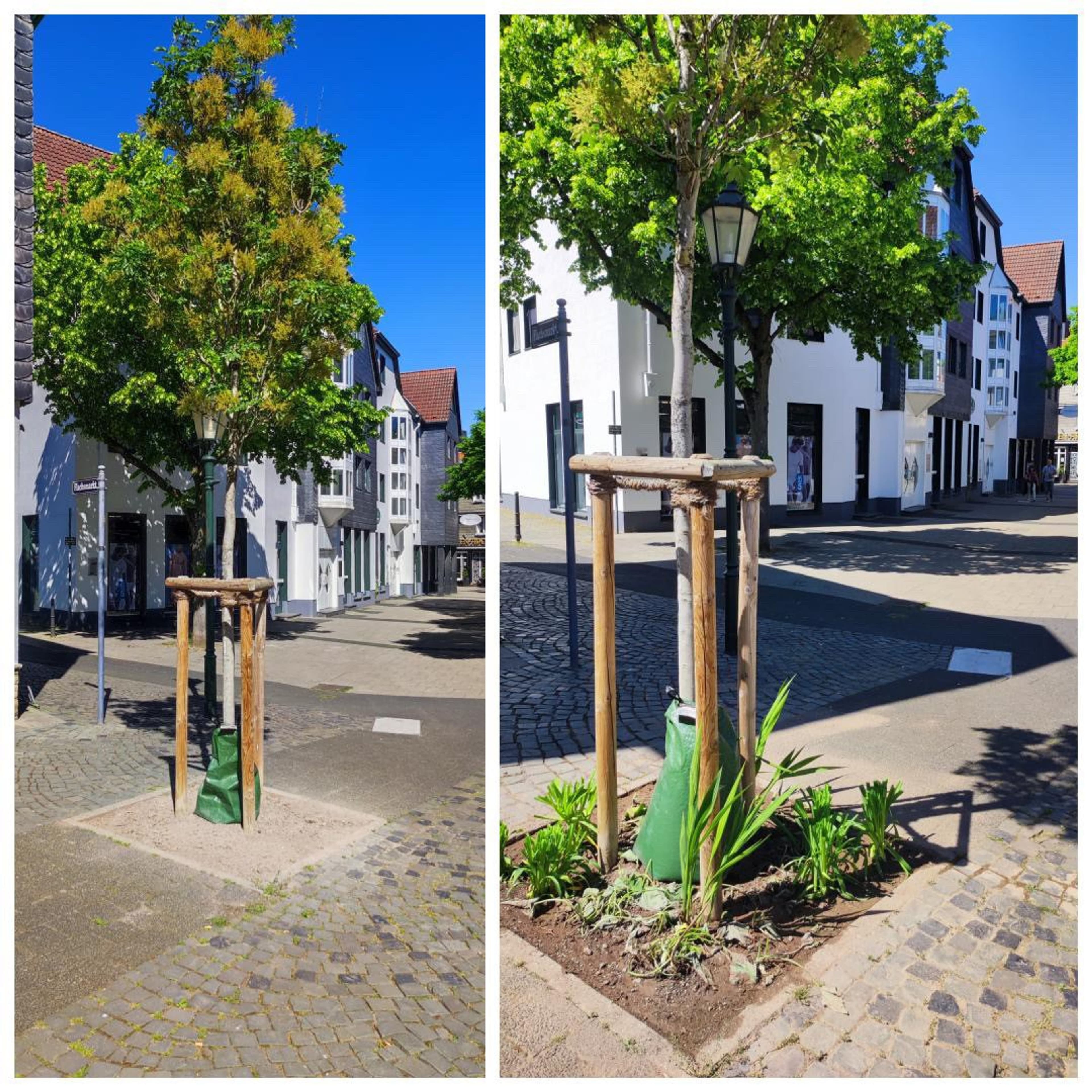 Grüne Oasen für Hattingen | Symbolbild