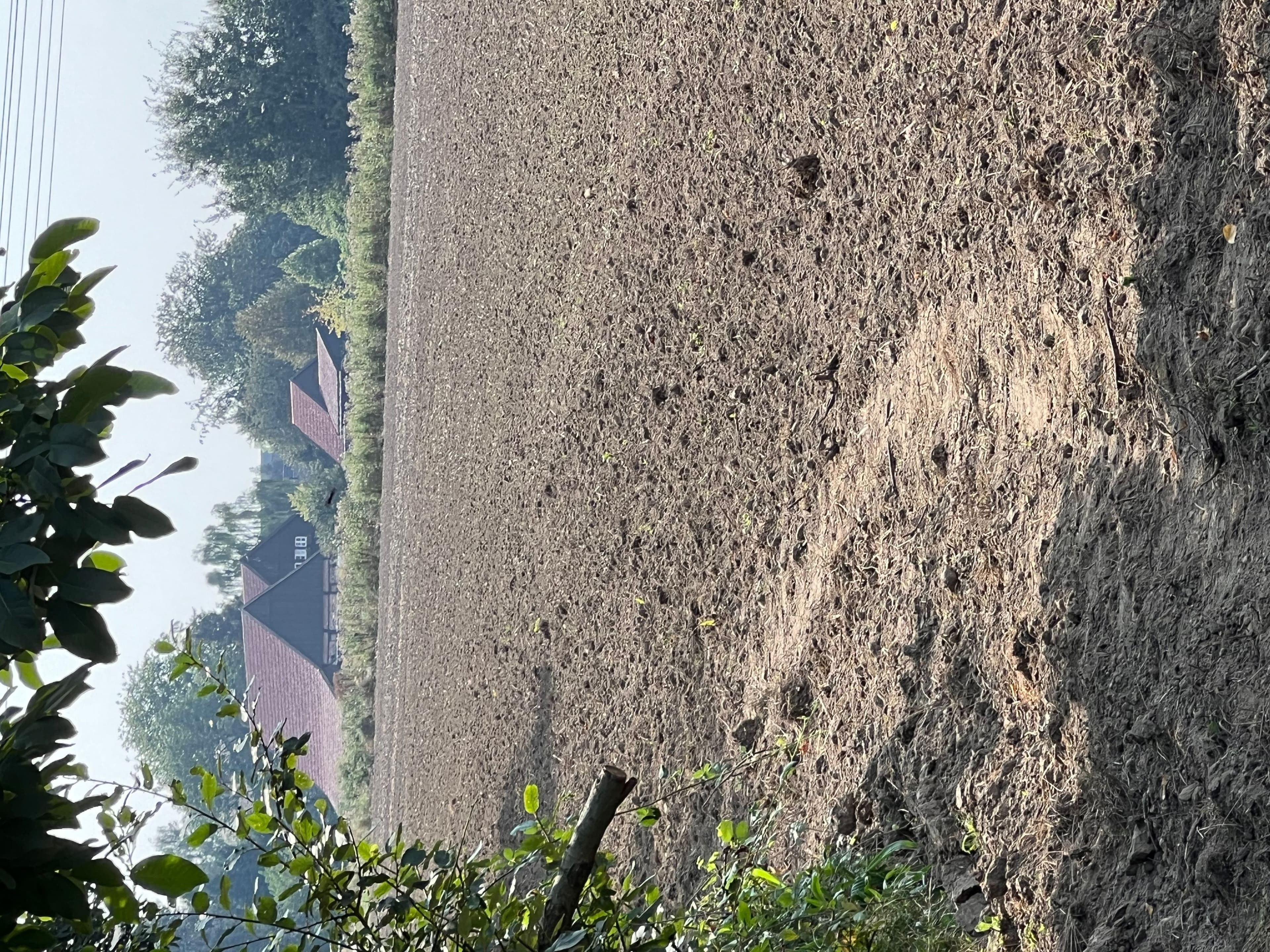 Blühstreifen schützen: Wie Trampelpfade unsere Umwelt gefährden | Symbolbild