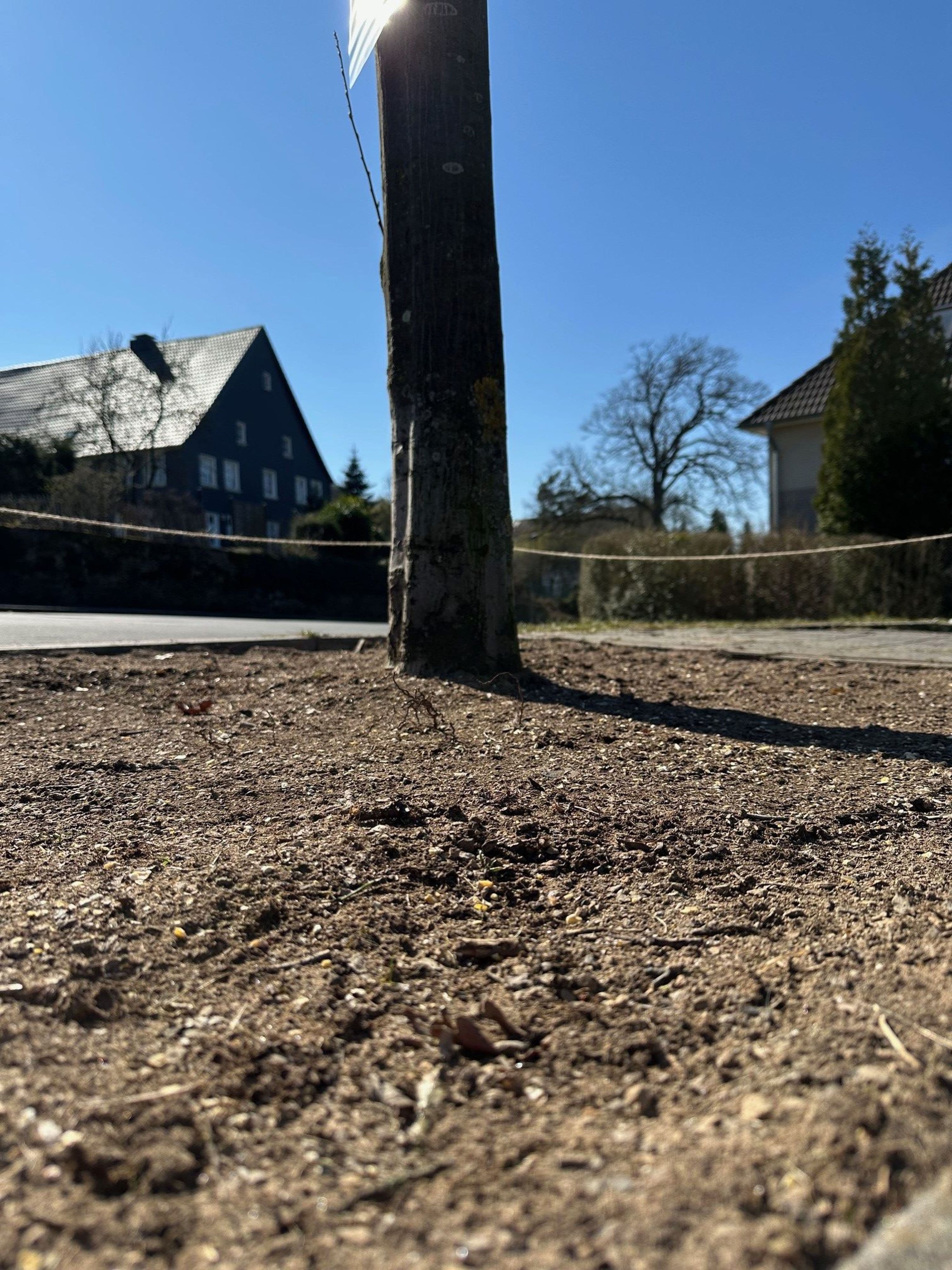 Hattingen blüht auf: Ehrenamt für die Gemeinschaft! | Symbolbild
