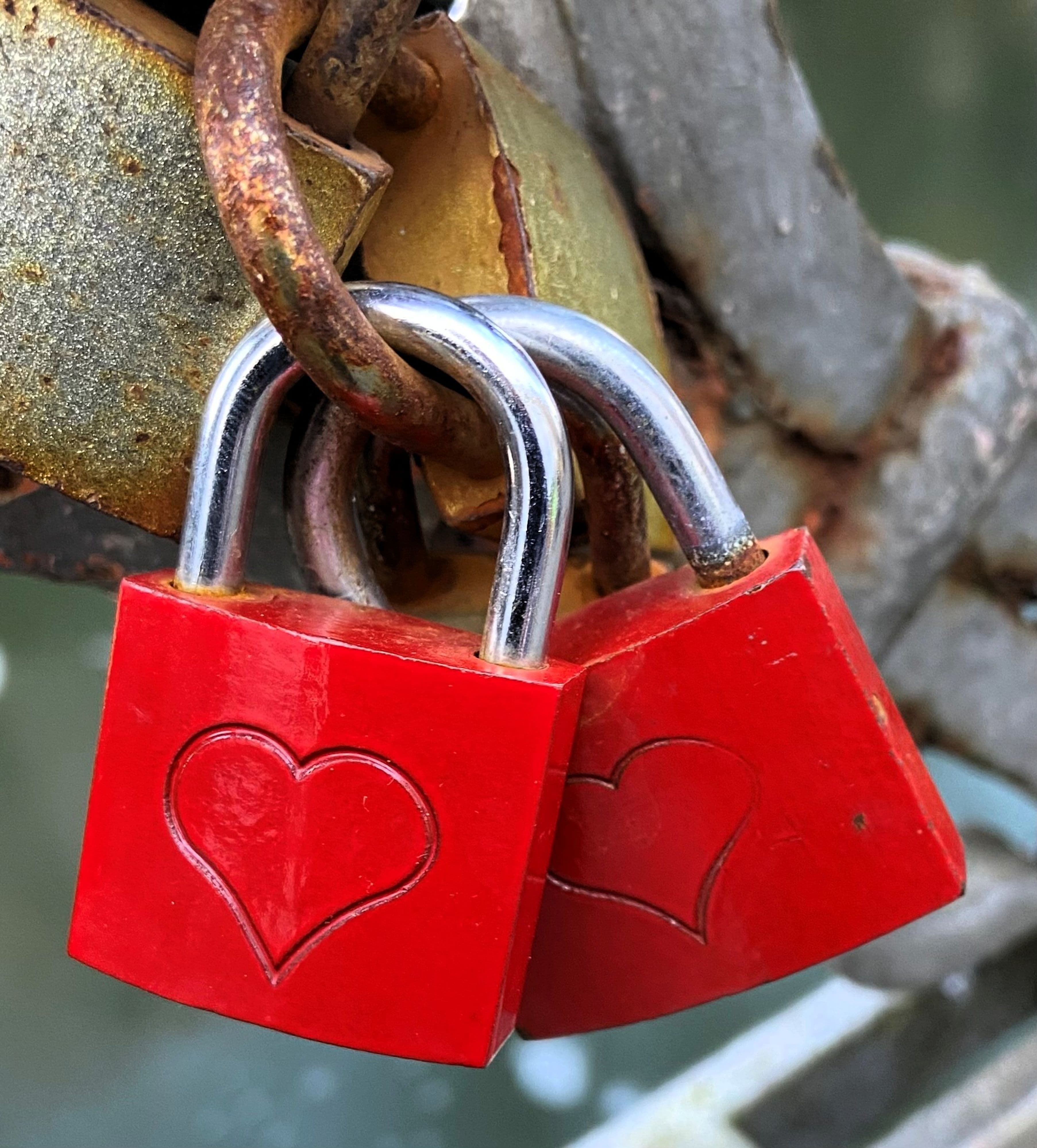 Die Valentinstags-Stadtführung lädt Paare zu besonderen Momenten durch Detmold ein. Die Valentinstags-Stadtführung lädt Paare zu besonderen Momenten durch Detmold ein.