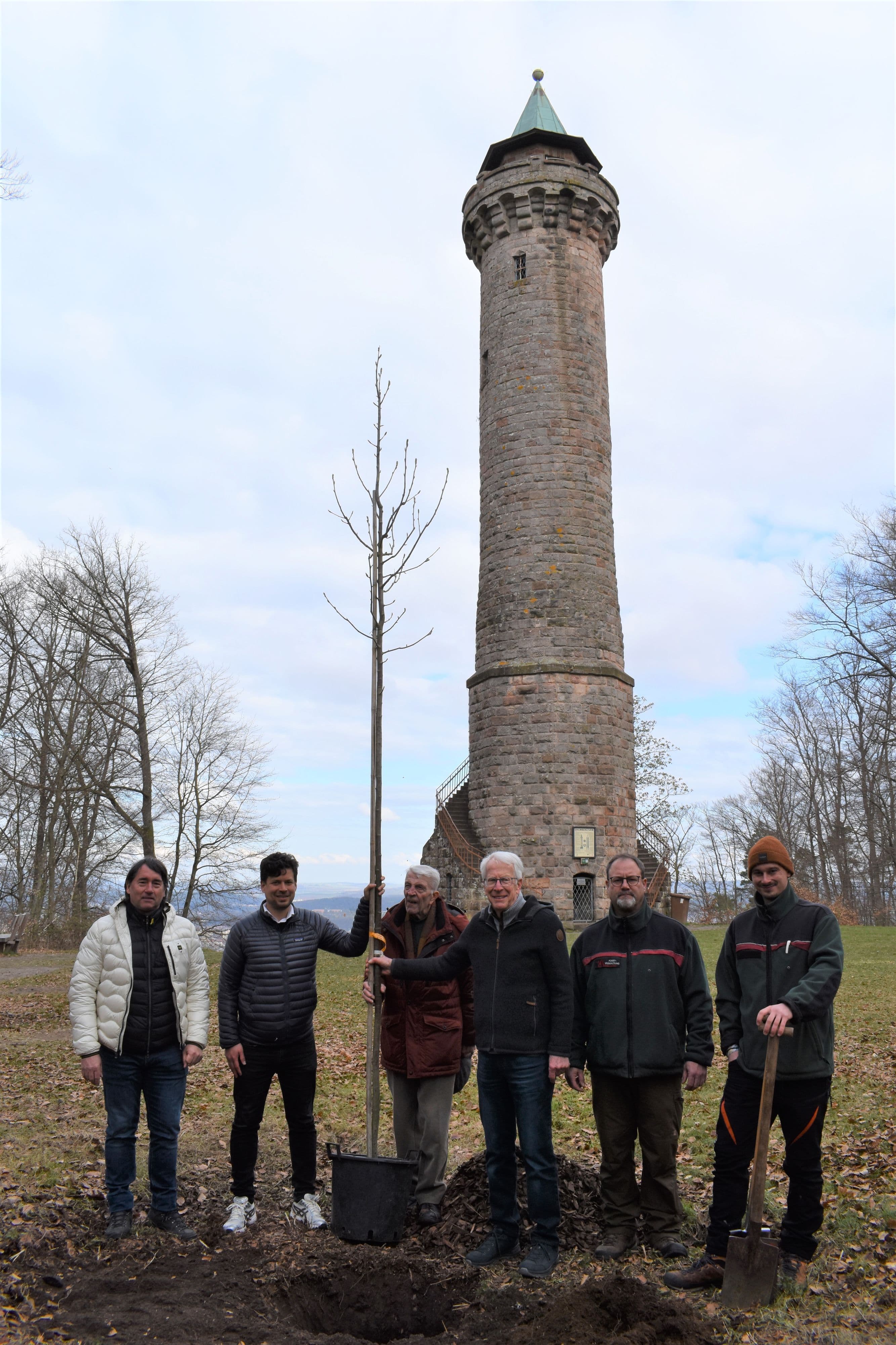 125 Jahre Humbergturm: Ein besonderer Baum für das Jubiläum | Symbolbild
