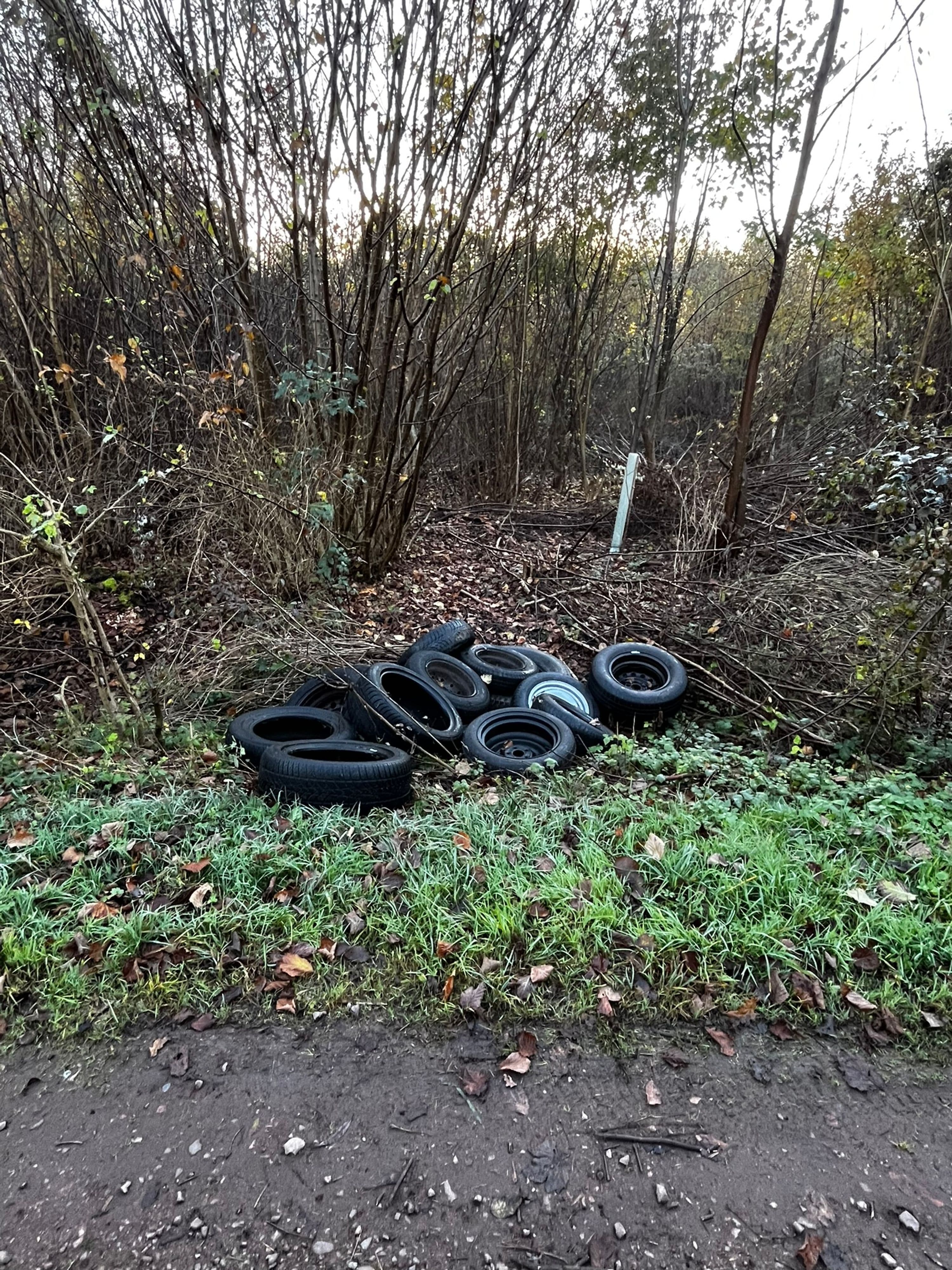 108 Altreifen illegal im Kaiserwald entsorgt | Symbolbild