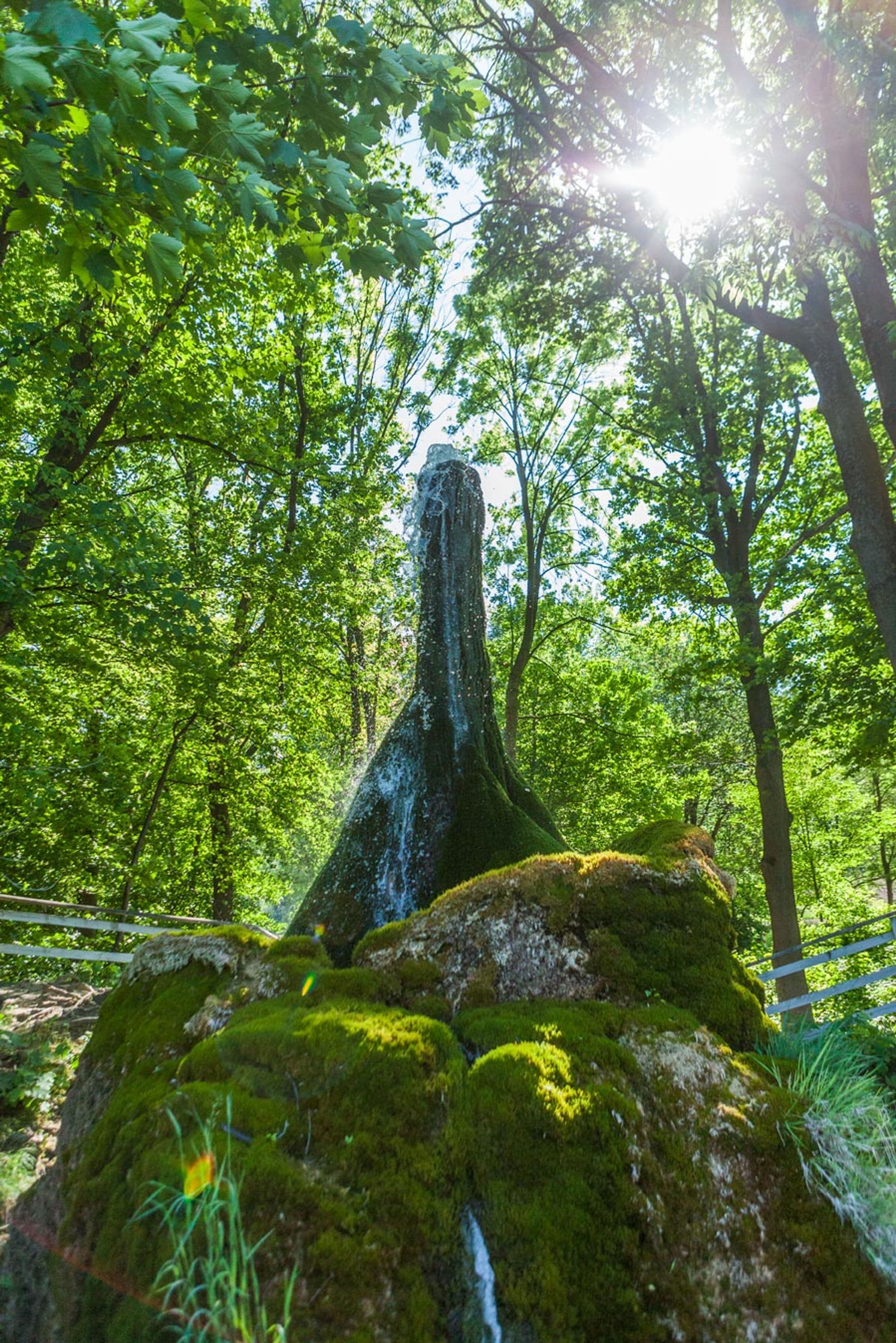 Wer wird das Naturwunder 2025? | Symbolbild