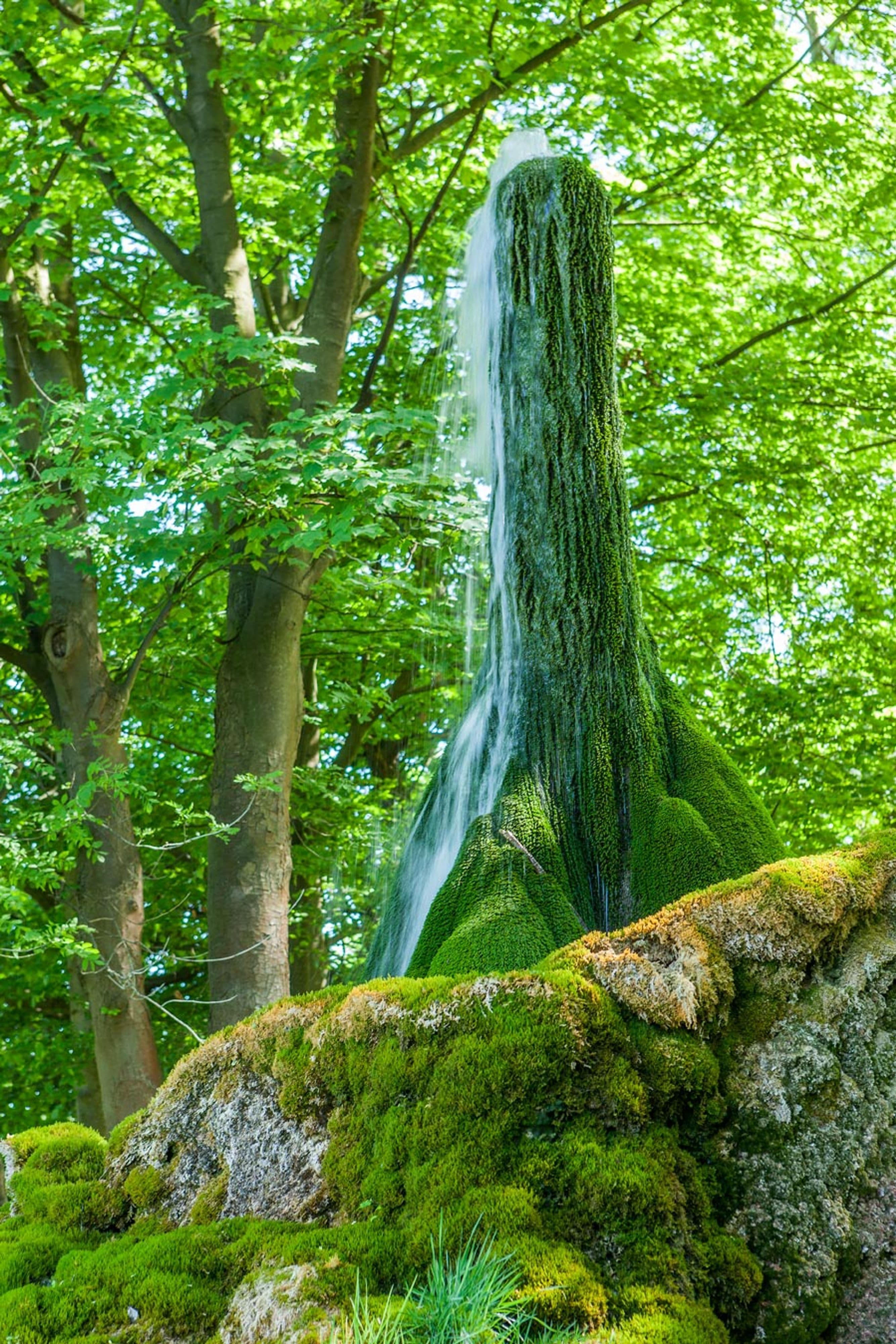 Wer wird das Naturwunder 2025? | Symbolbild
