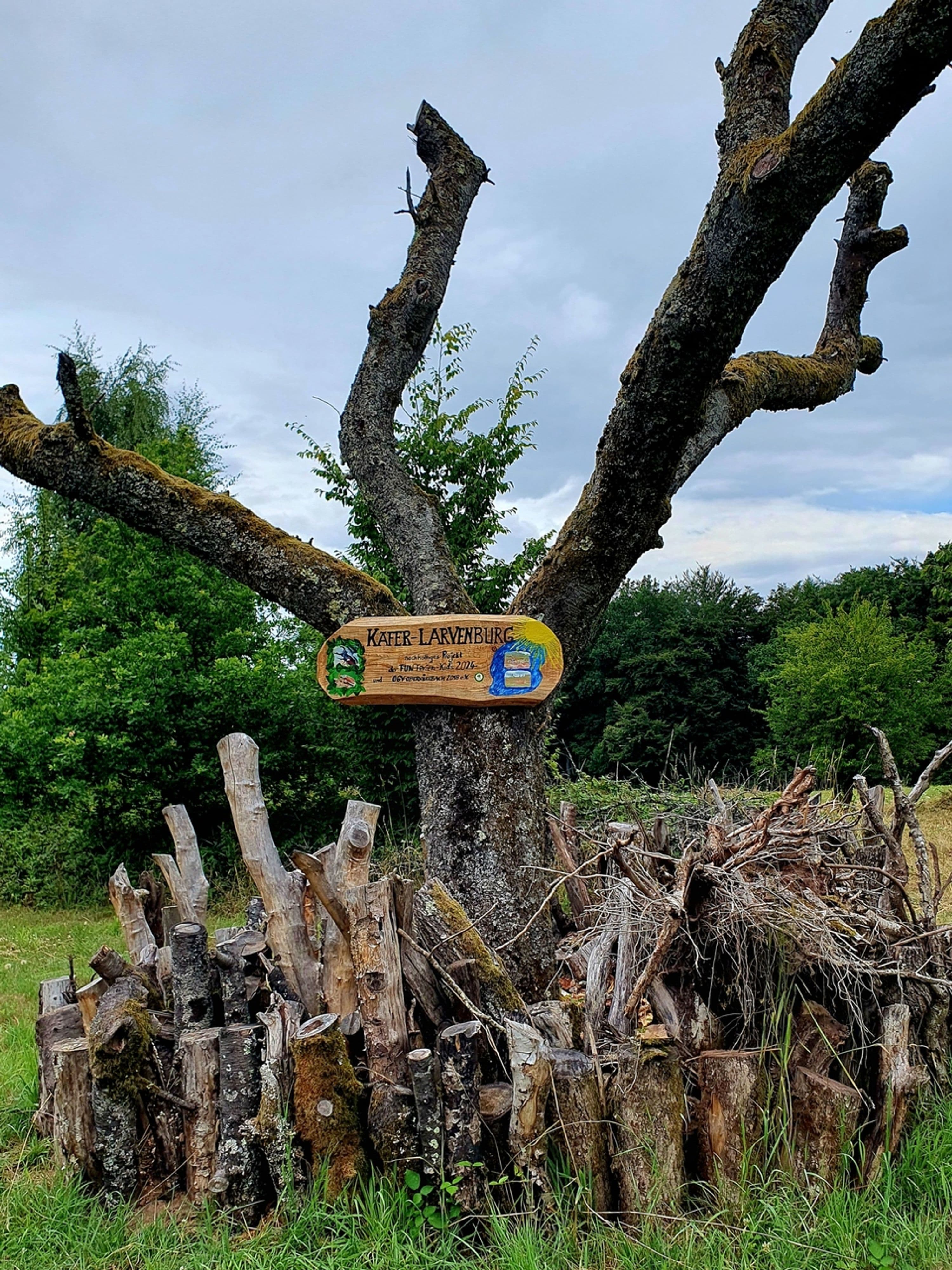 Sommerferien in St. Ingbert: Natur und Gemeinschaft erleben | Symbolbild