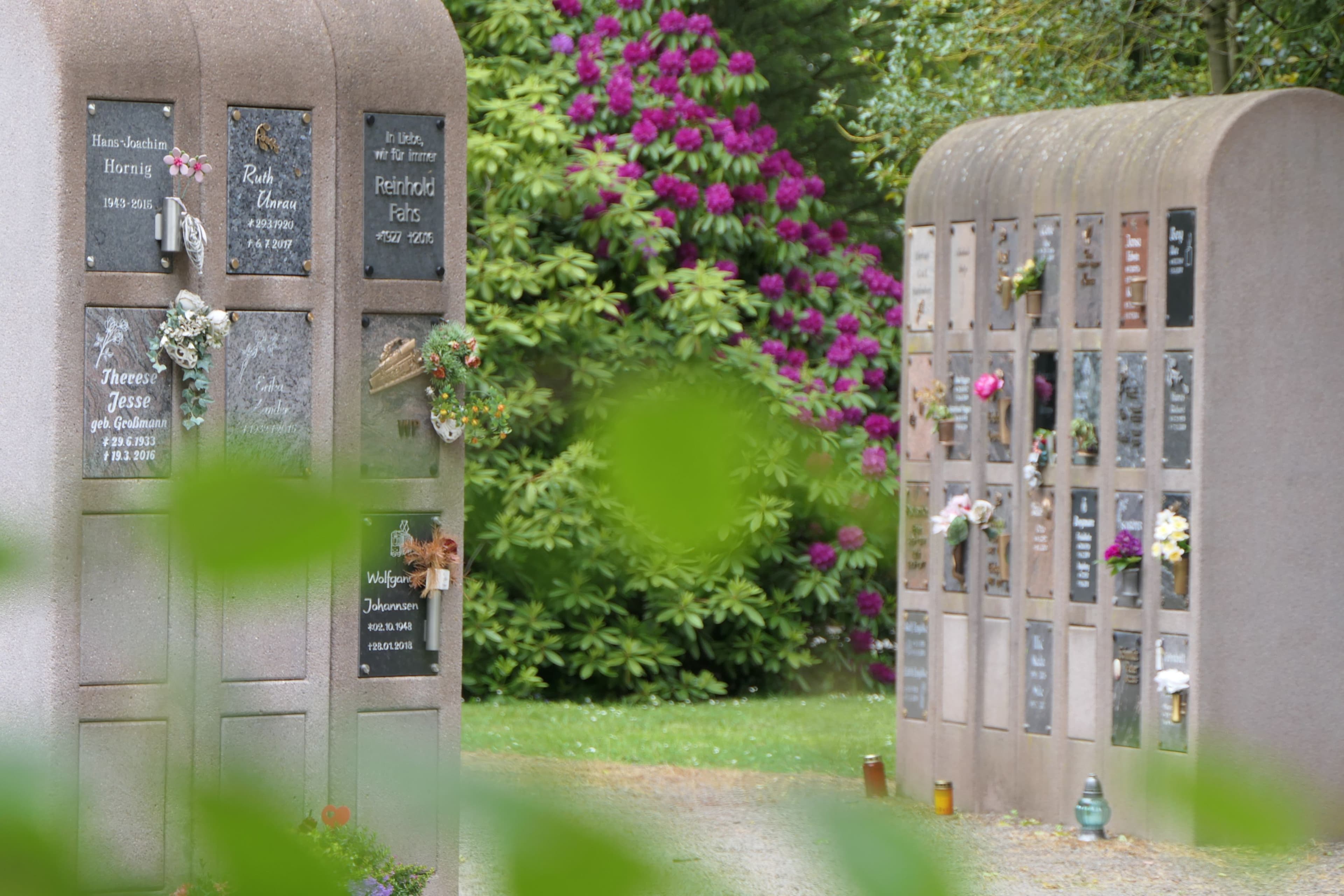Kostenfreie Führung auf dem Südfriedhof Minden | Symbolbild