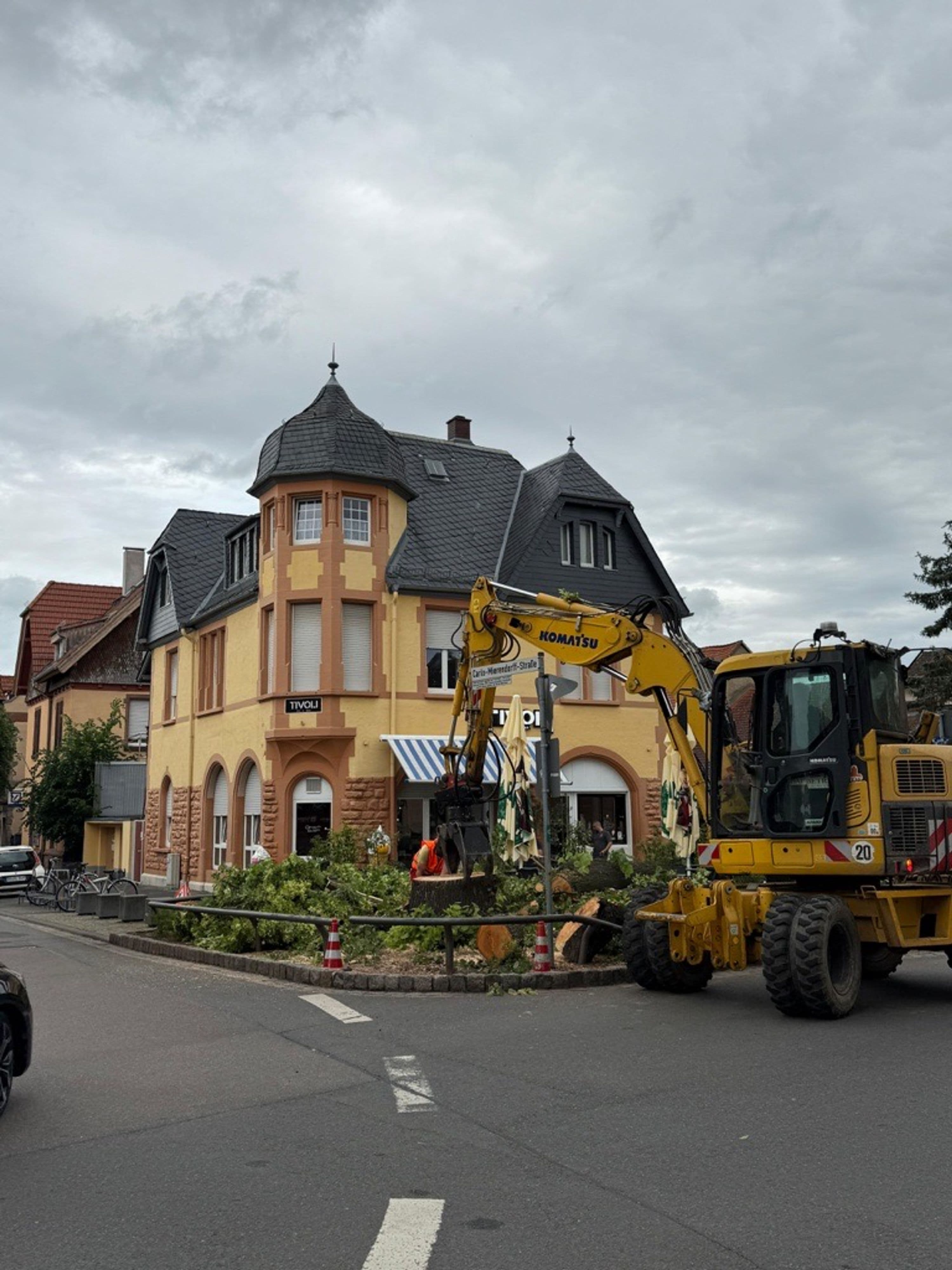 Groß-Umstadt fällt 100 Jahre alte Linde | Symbolbild
