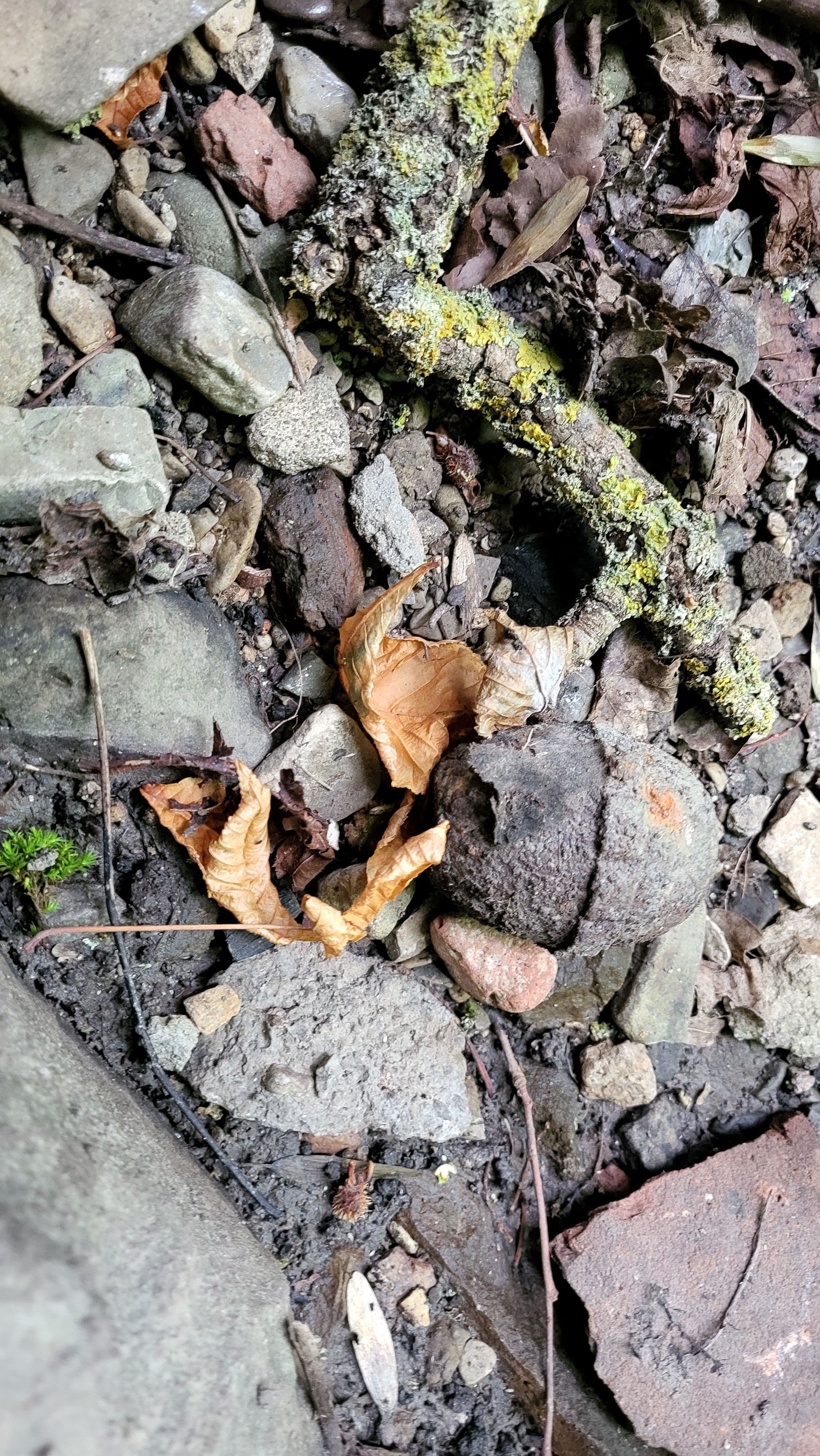 Kinder entdecken Handgranate aus dem Zweiten Weltkrieg | Symbolbild