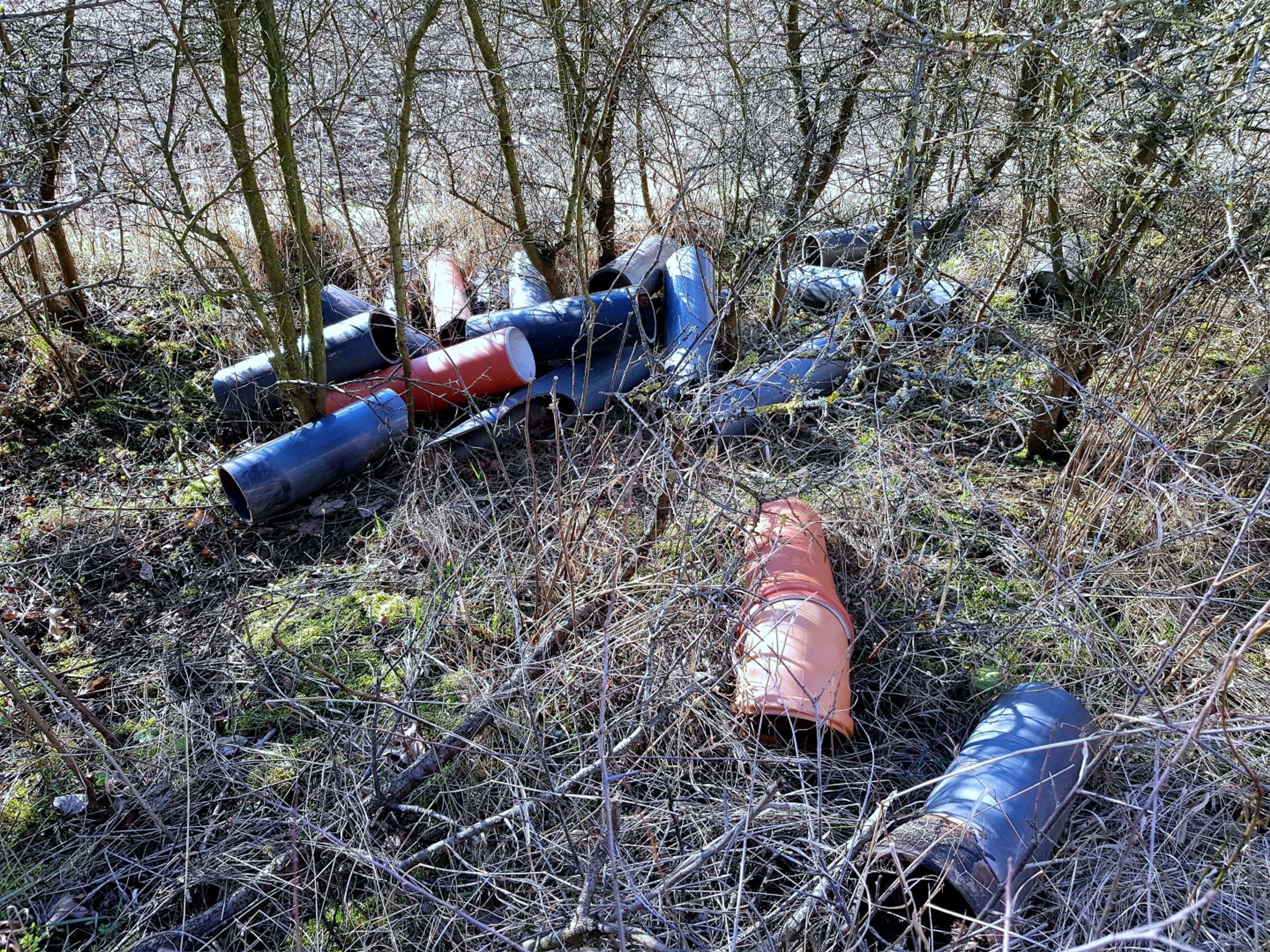 Müll im Wald: Eine Herausforderung für Wanderer und Umweltschützer | Symbolbild