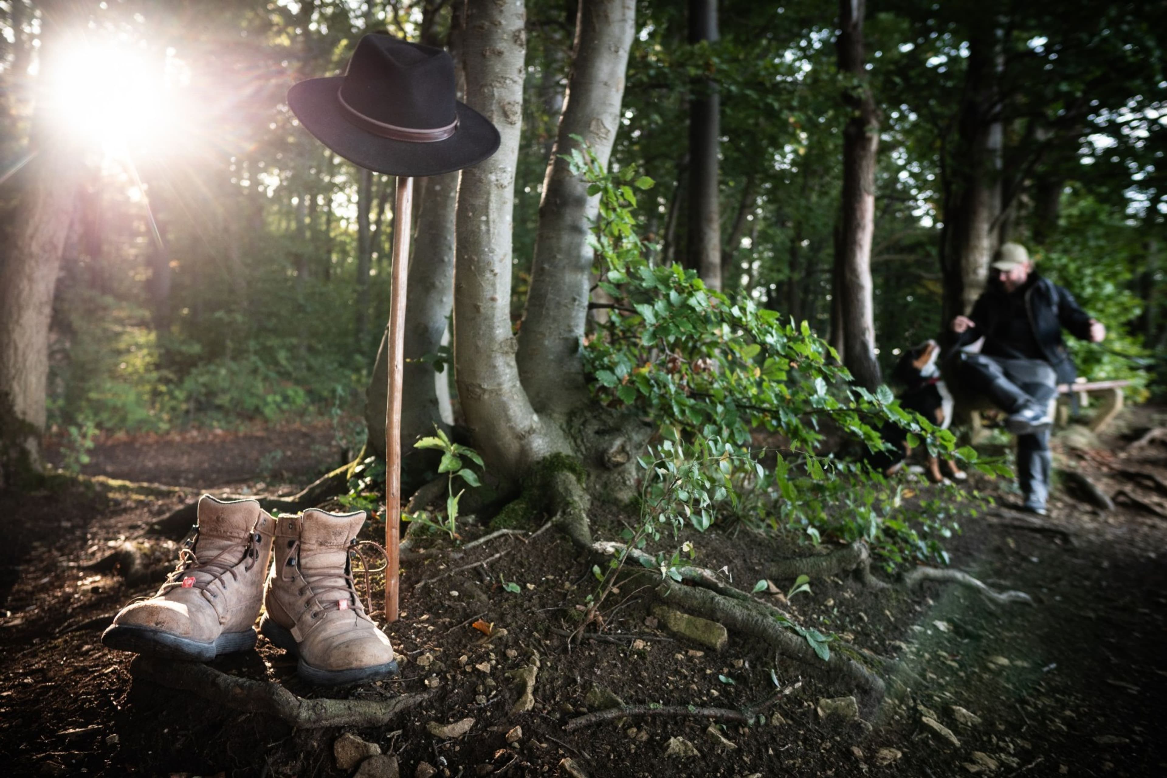 Entdecken Sie den Scharfenstein: Geführte Wandertour 2025 | Symbolbild