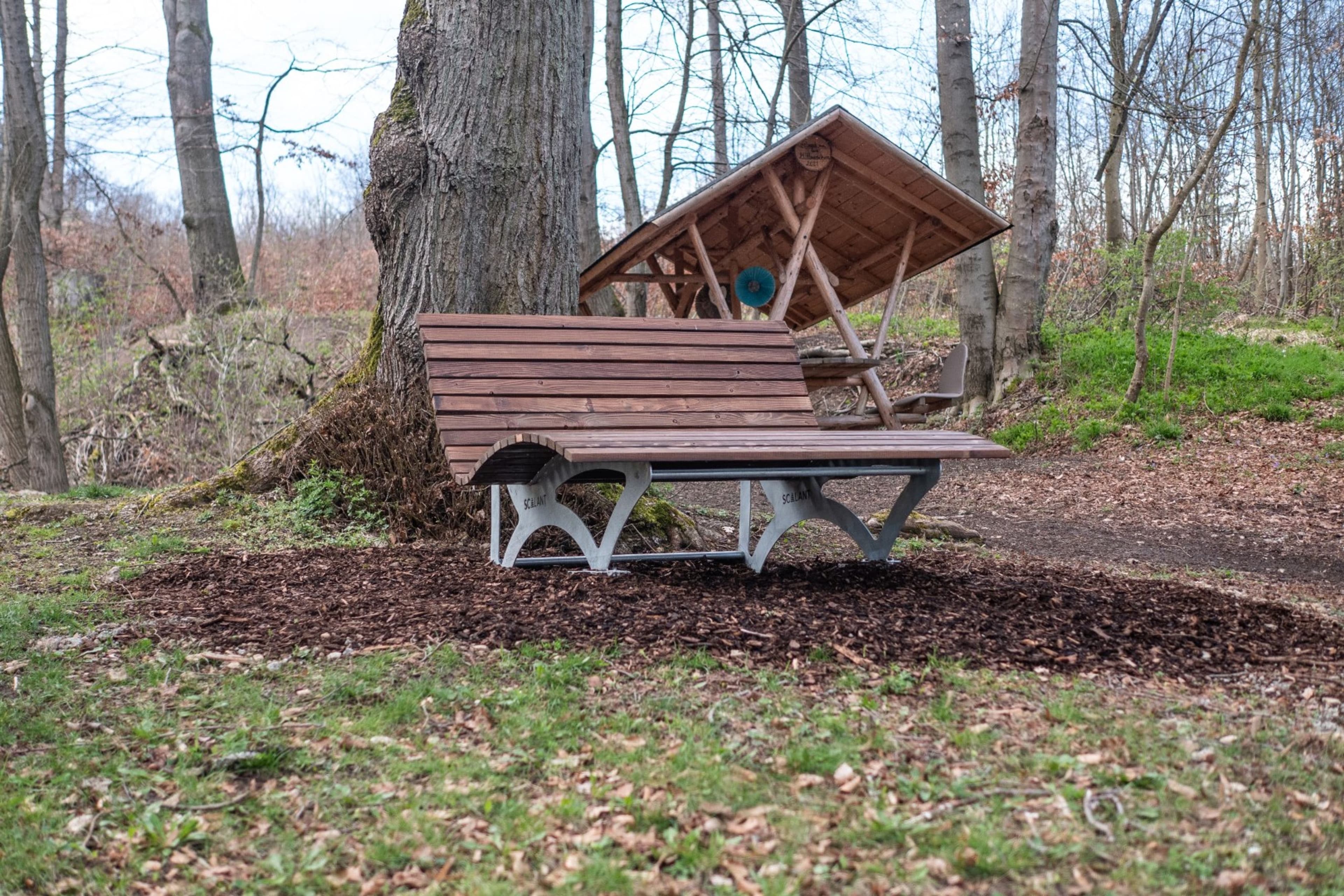 Müll im Wald: Eine Herausforderung für Wanderer und Umweltschützer | Symbolbild