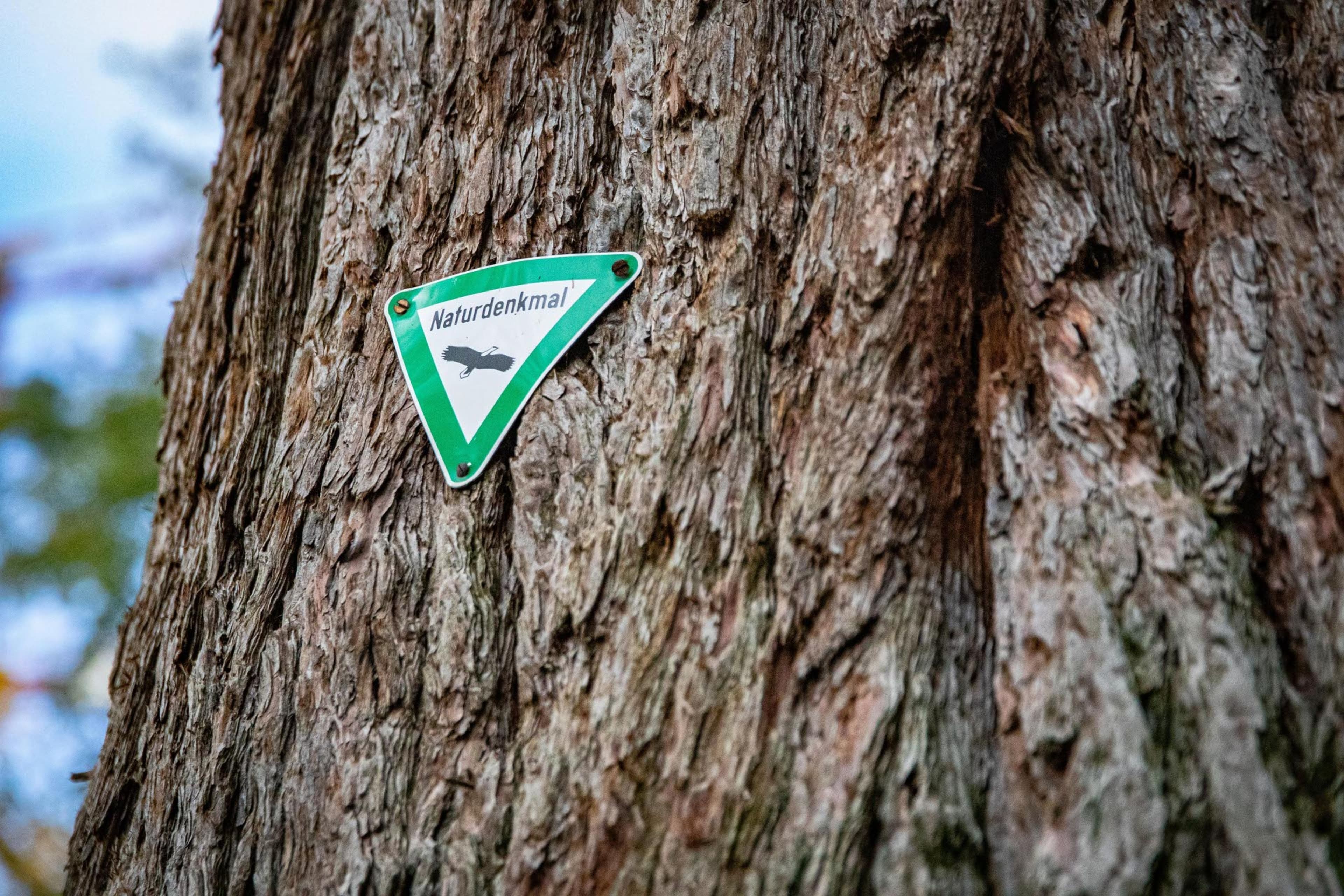 Koblenz gibt Naturdenkmälern neue Kraft | Symbolbild