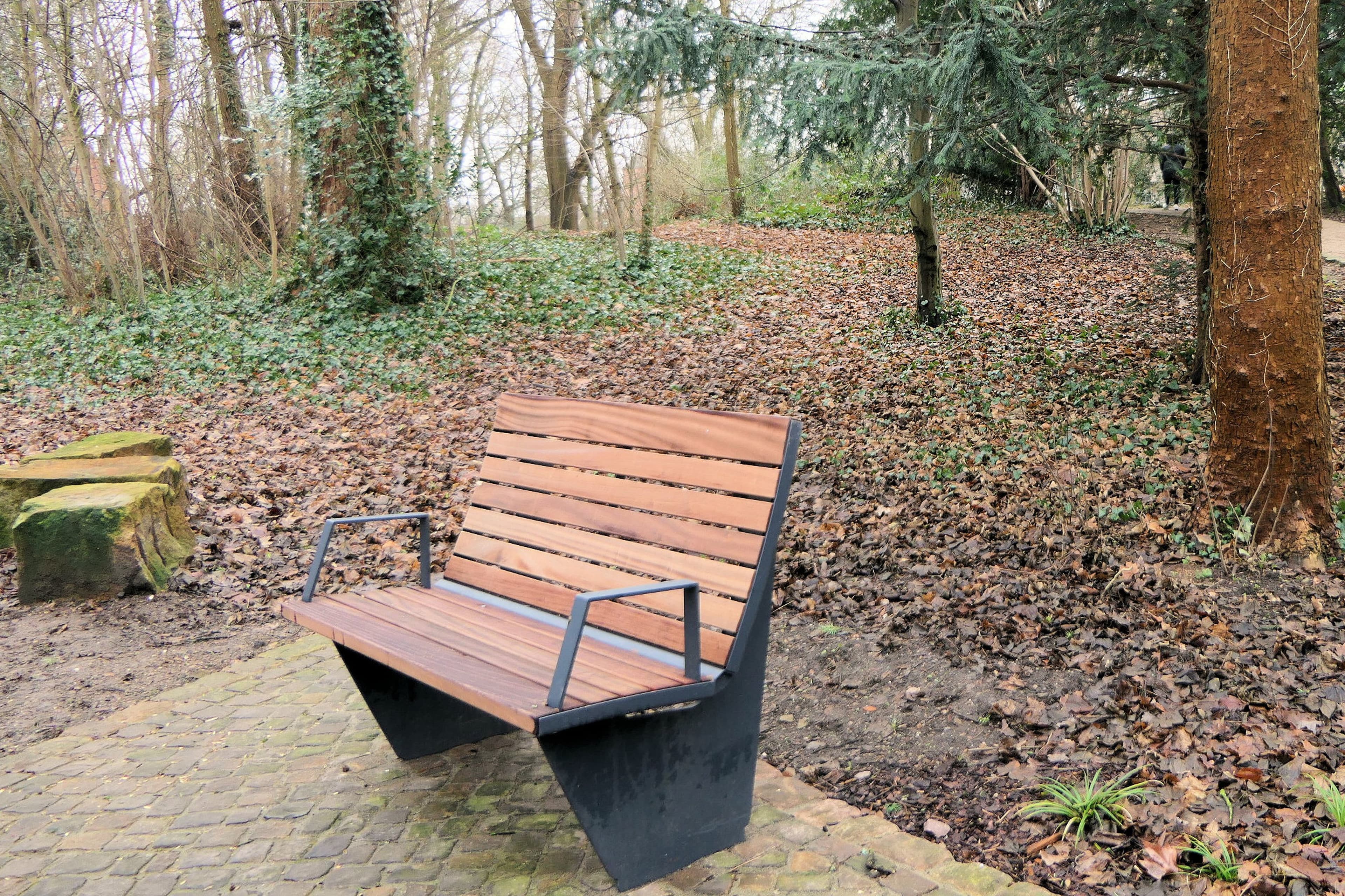Neugestaltung des Mindener Waldparks Glacis: Ein Schritt in eine nachhaltige Zukunft | Symbolbild