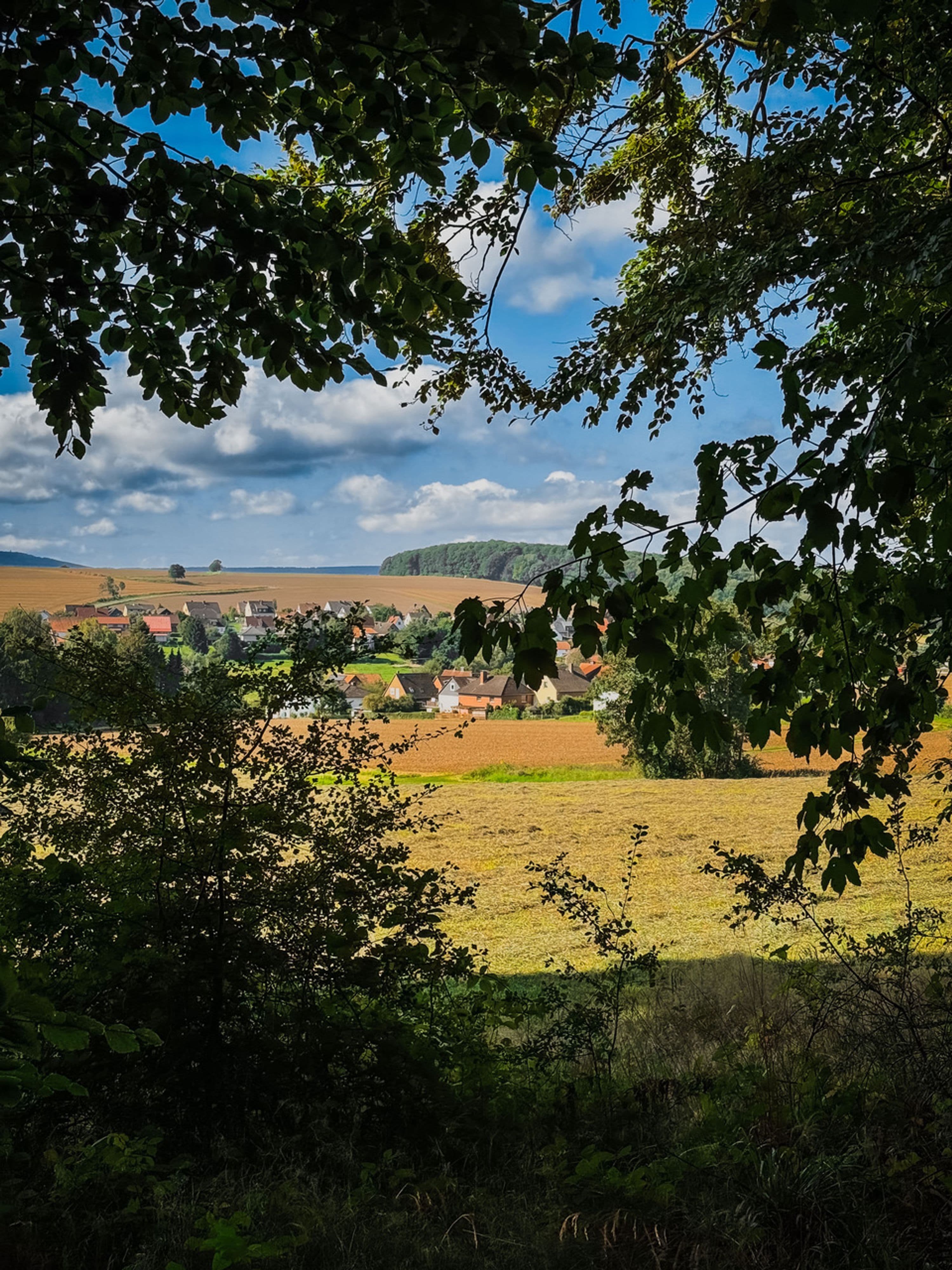 Geheimnisse von Nienstedt: Historische Tour am 7. September | Symbolbild