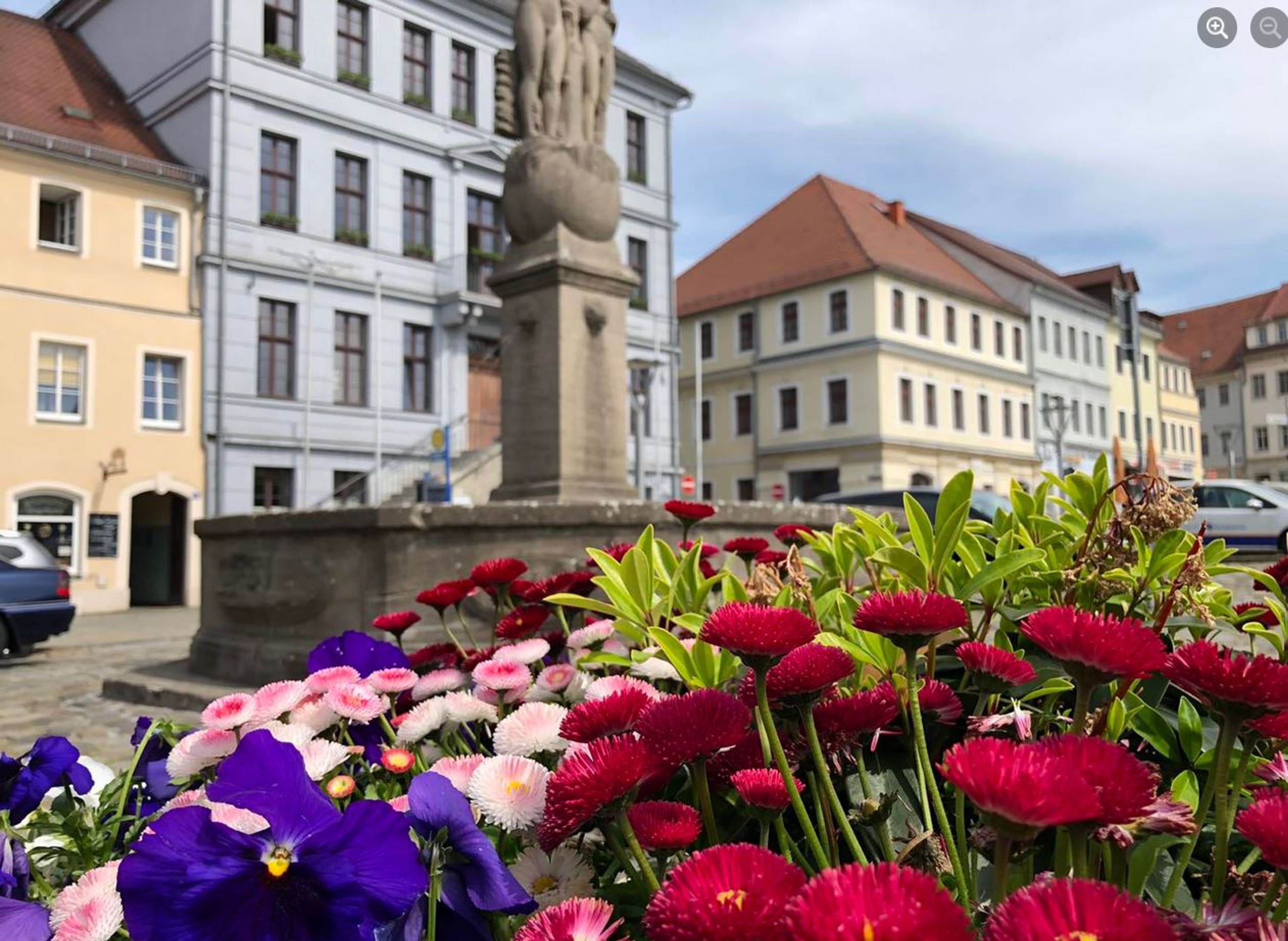 Blumen für Bischofswerda: Ihre Hilfe zählt! | Symbolbild