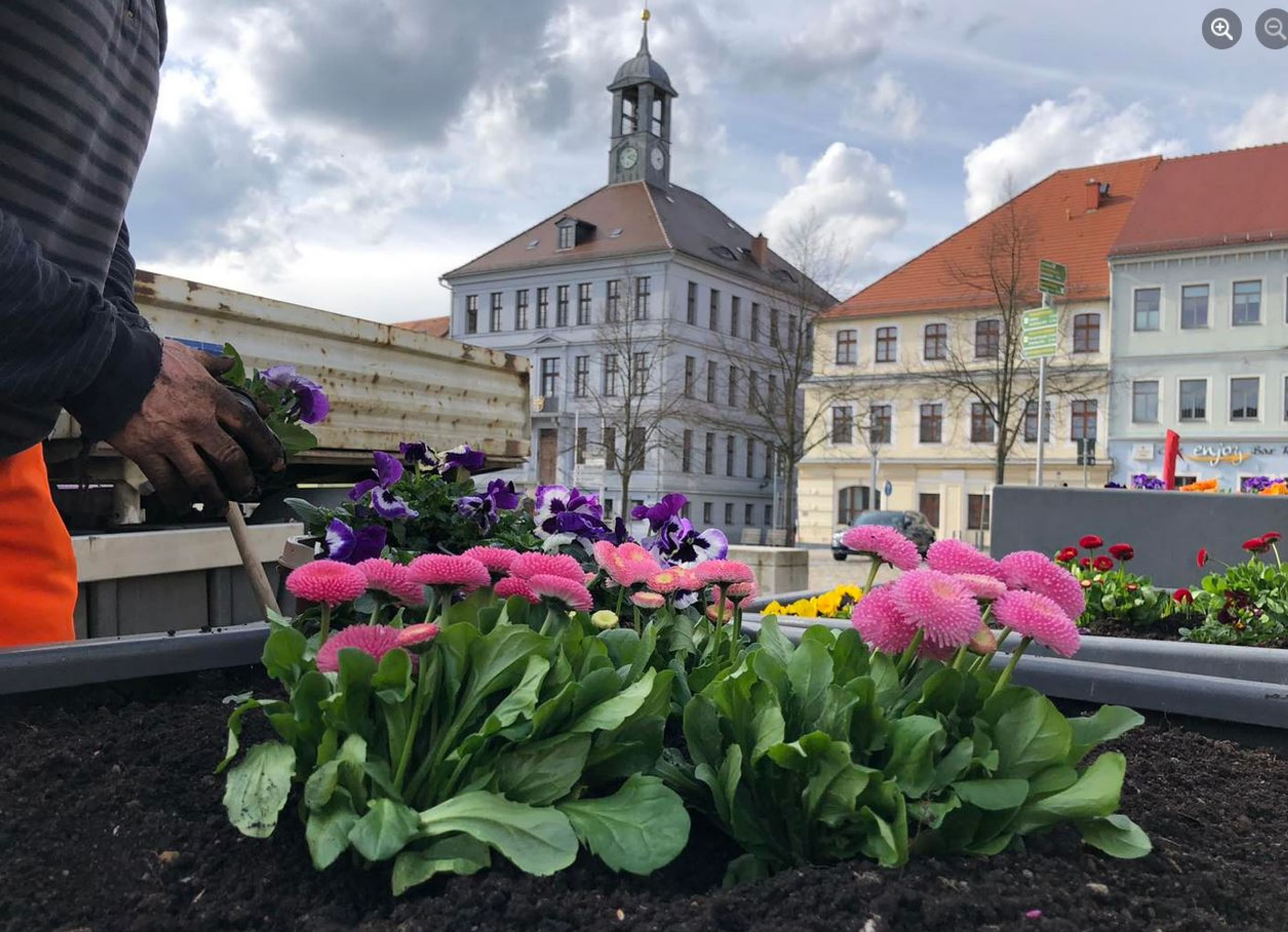 Blumen für Bischofswerda: Ihre Hilfe zählt! | Symbolbild