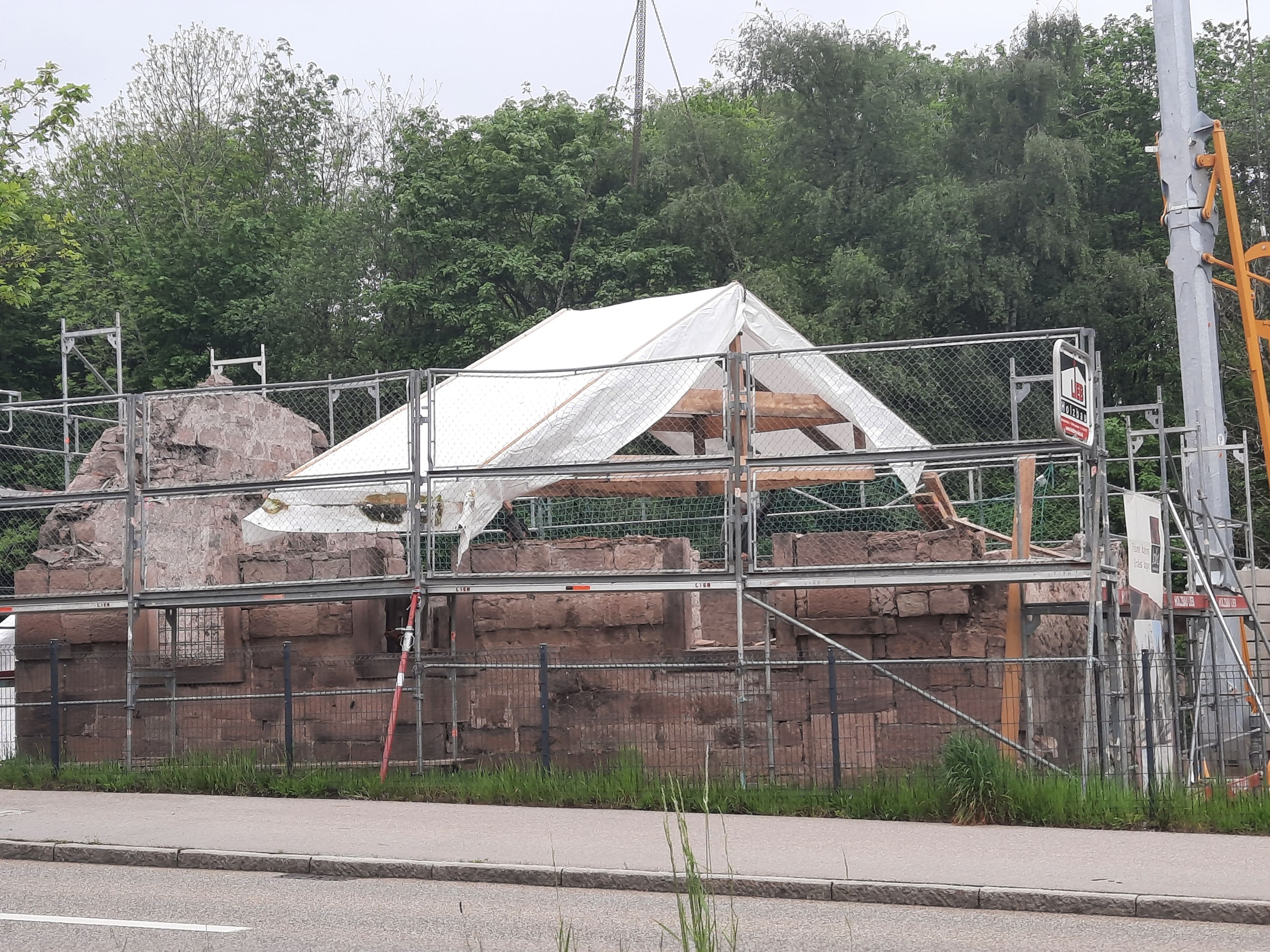 Aufforstungsinitiative im Schillerwald durch Waldkindergarten | Symbolbild